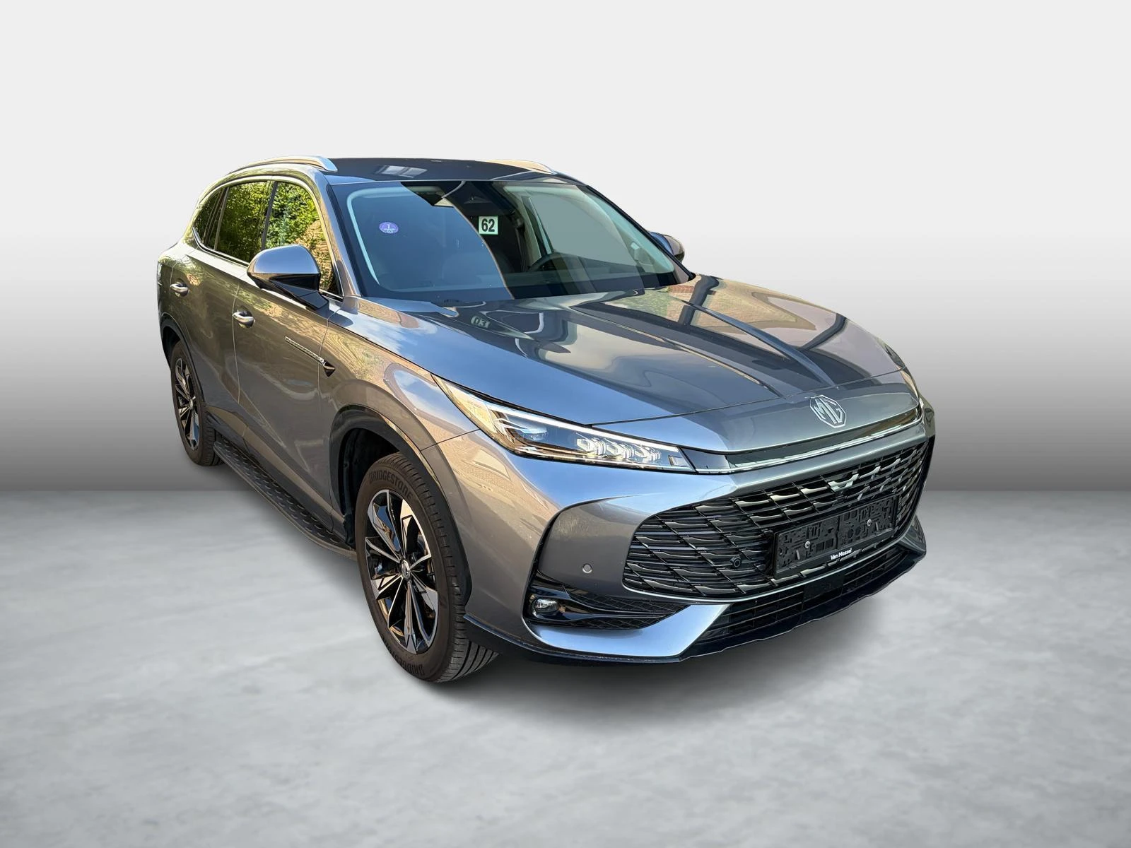 MG-EHS-image-1