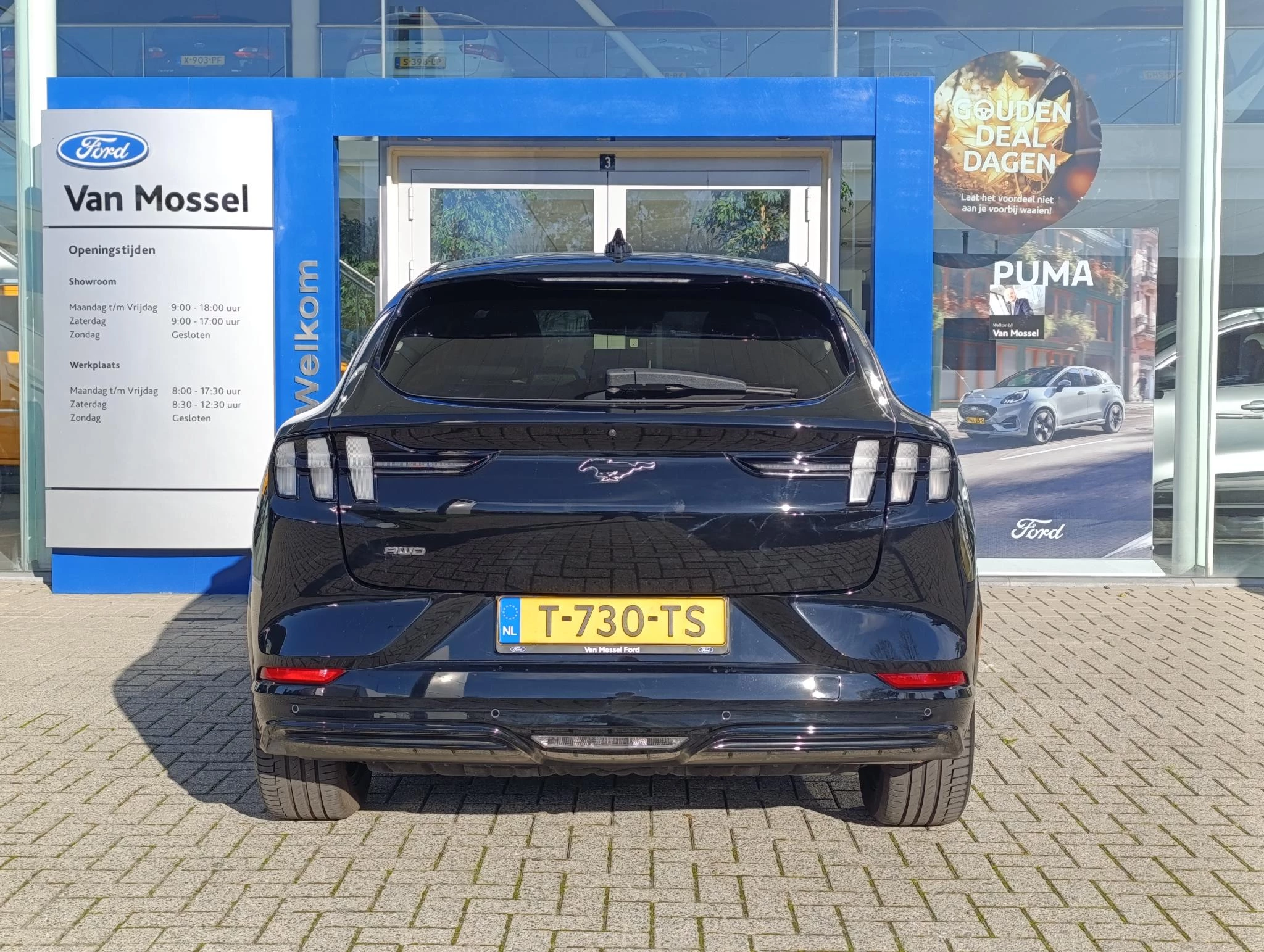 Ford-Mustang Mach-E-image-3