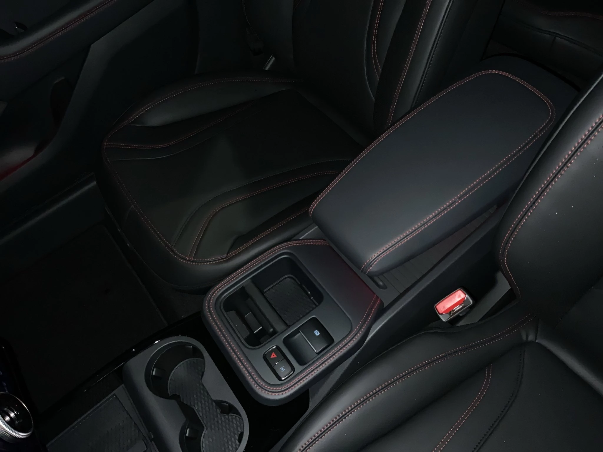 Ford-Mustang Mach-E-image-25