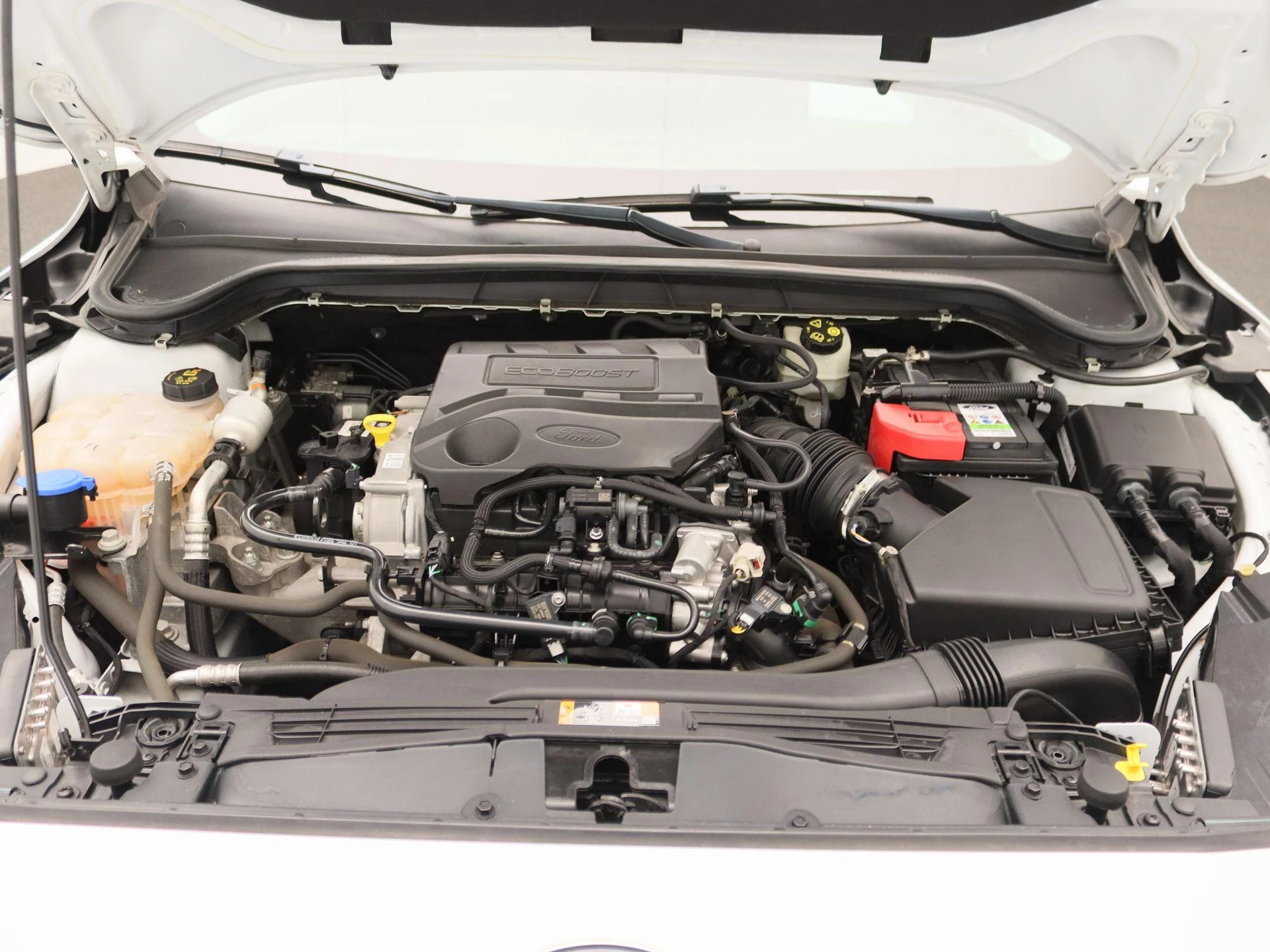 Ford-Focus-image-33