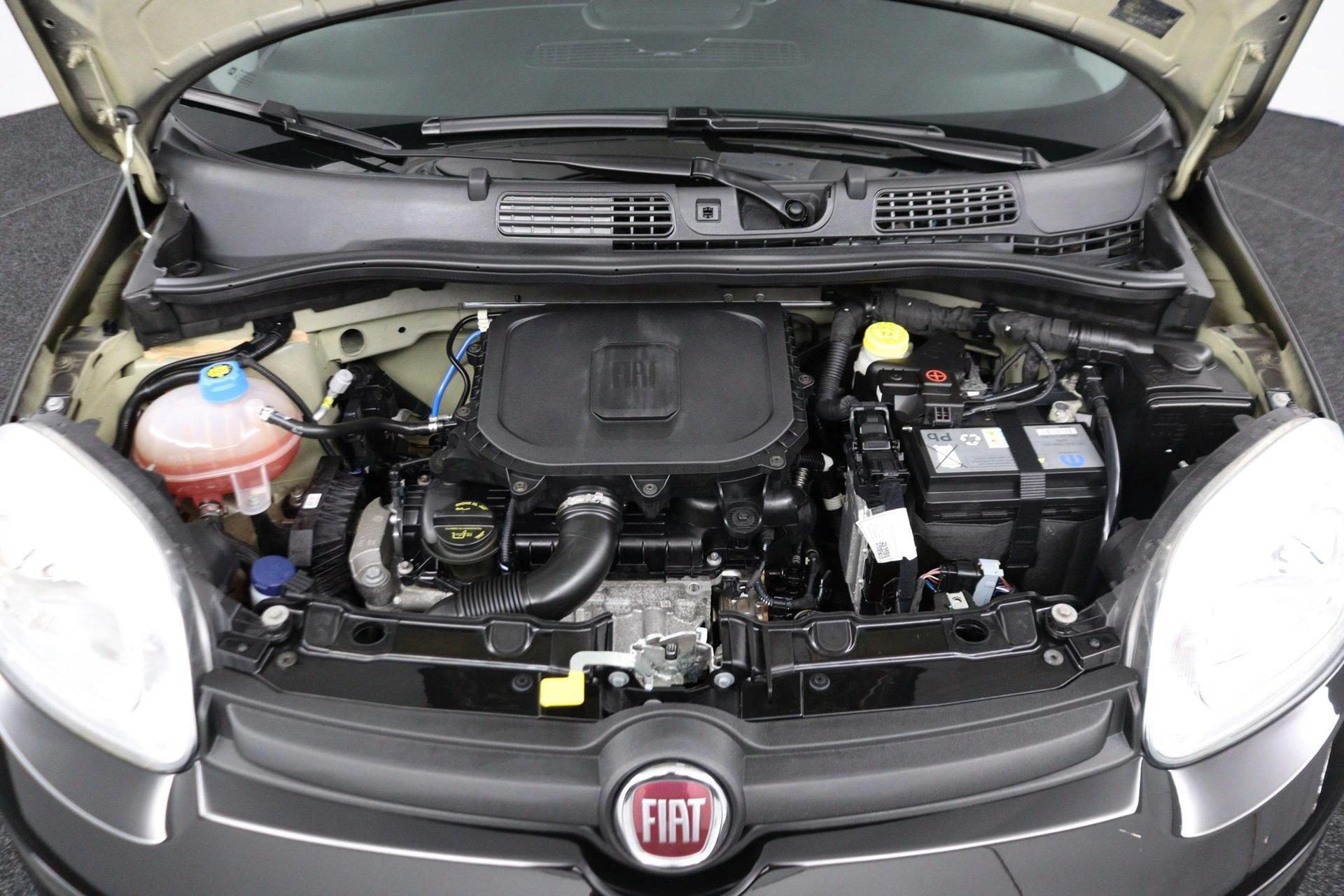 Fiat-Panda-image-25