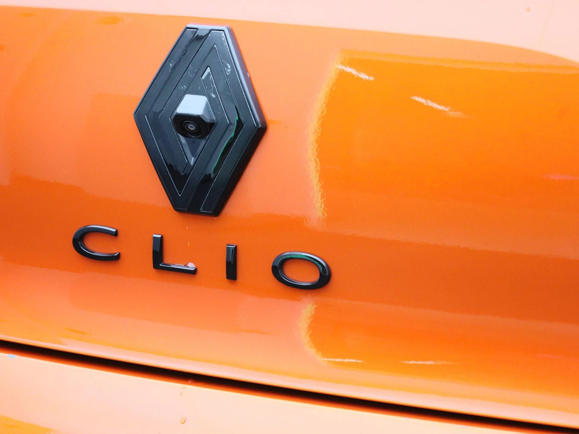 Renault Clio - 44