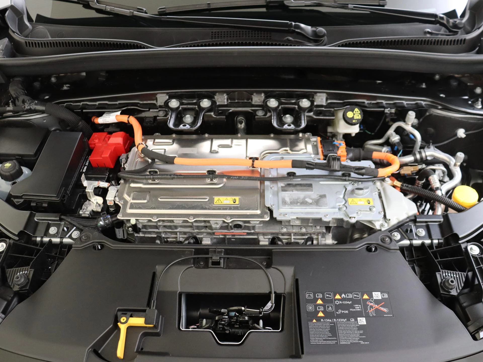 Renault-Scénic-image-26