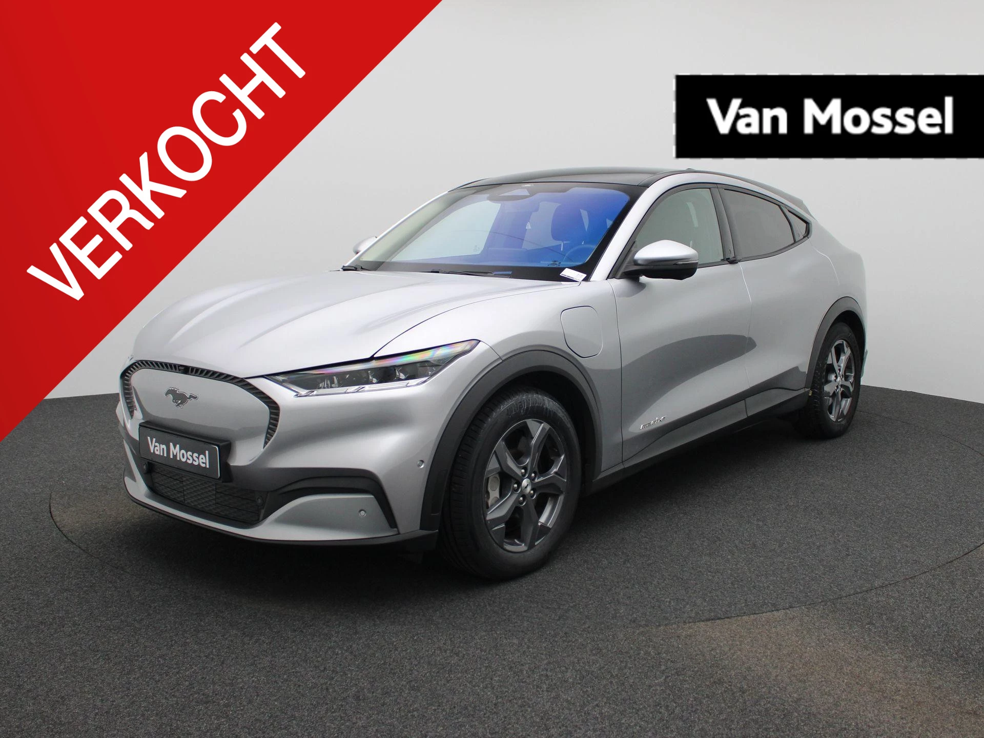 Ford-Mustang Mach-E-image-0