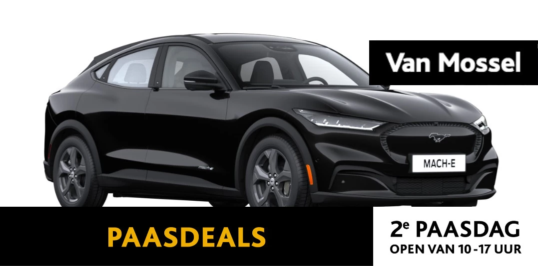 Ford-Mustang Mach-E-image-0