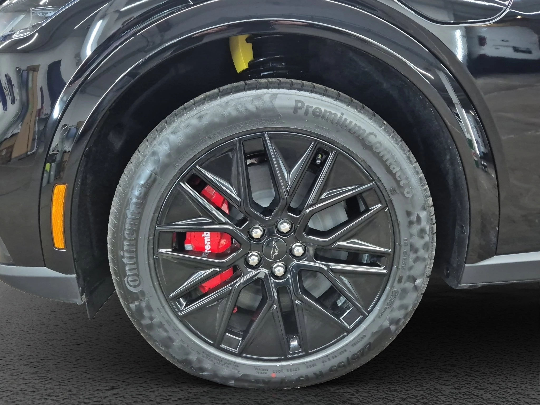 Ford-Mustang Mach-E-image-8