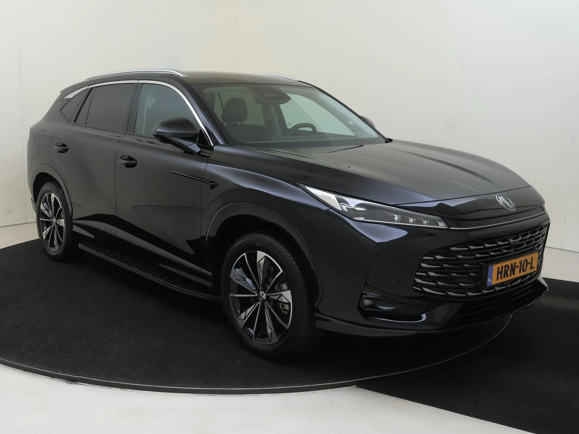 MG-HS-image-2