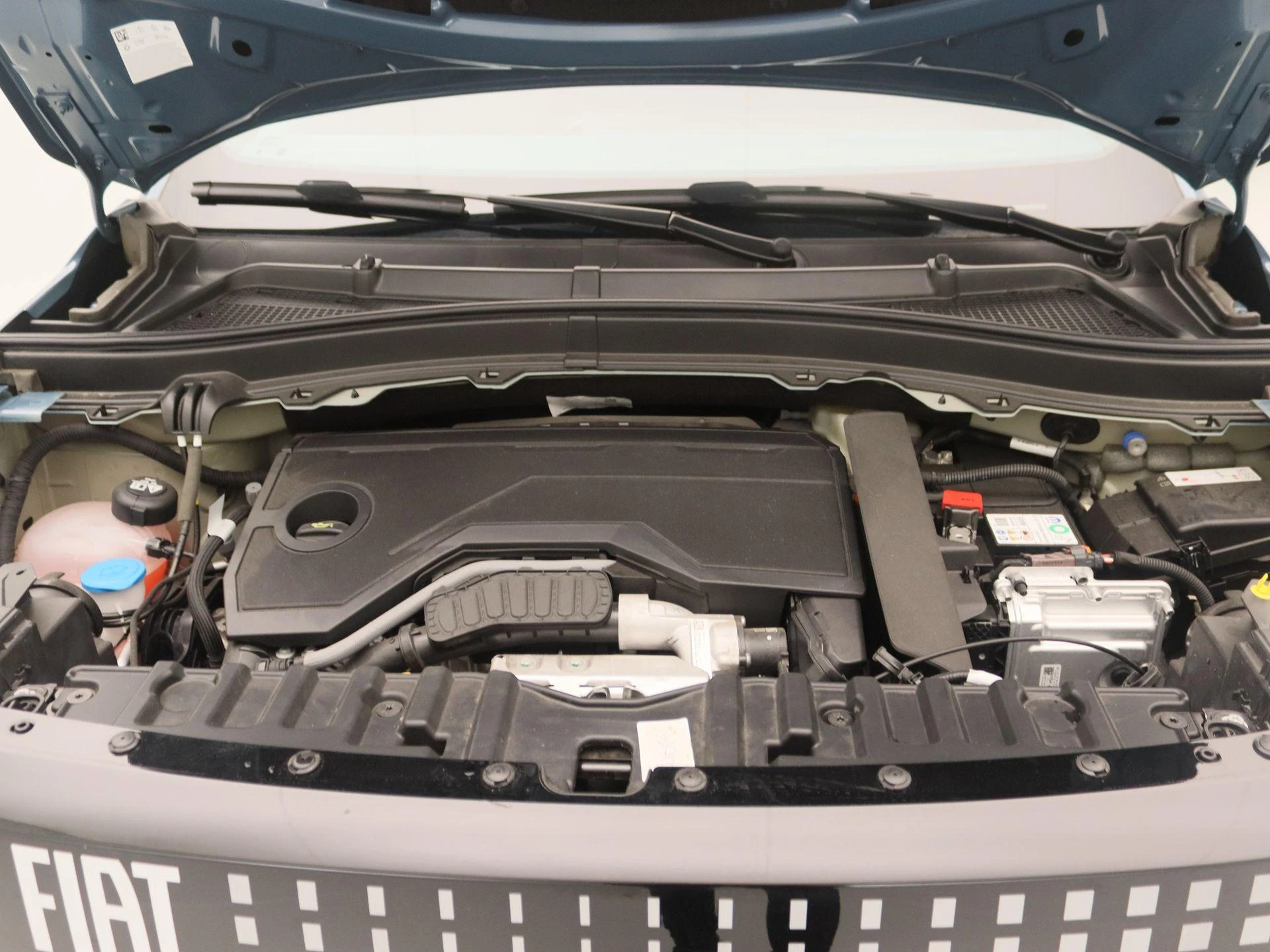 Fiat-Grande Panda-image-23