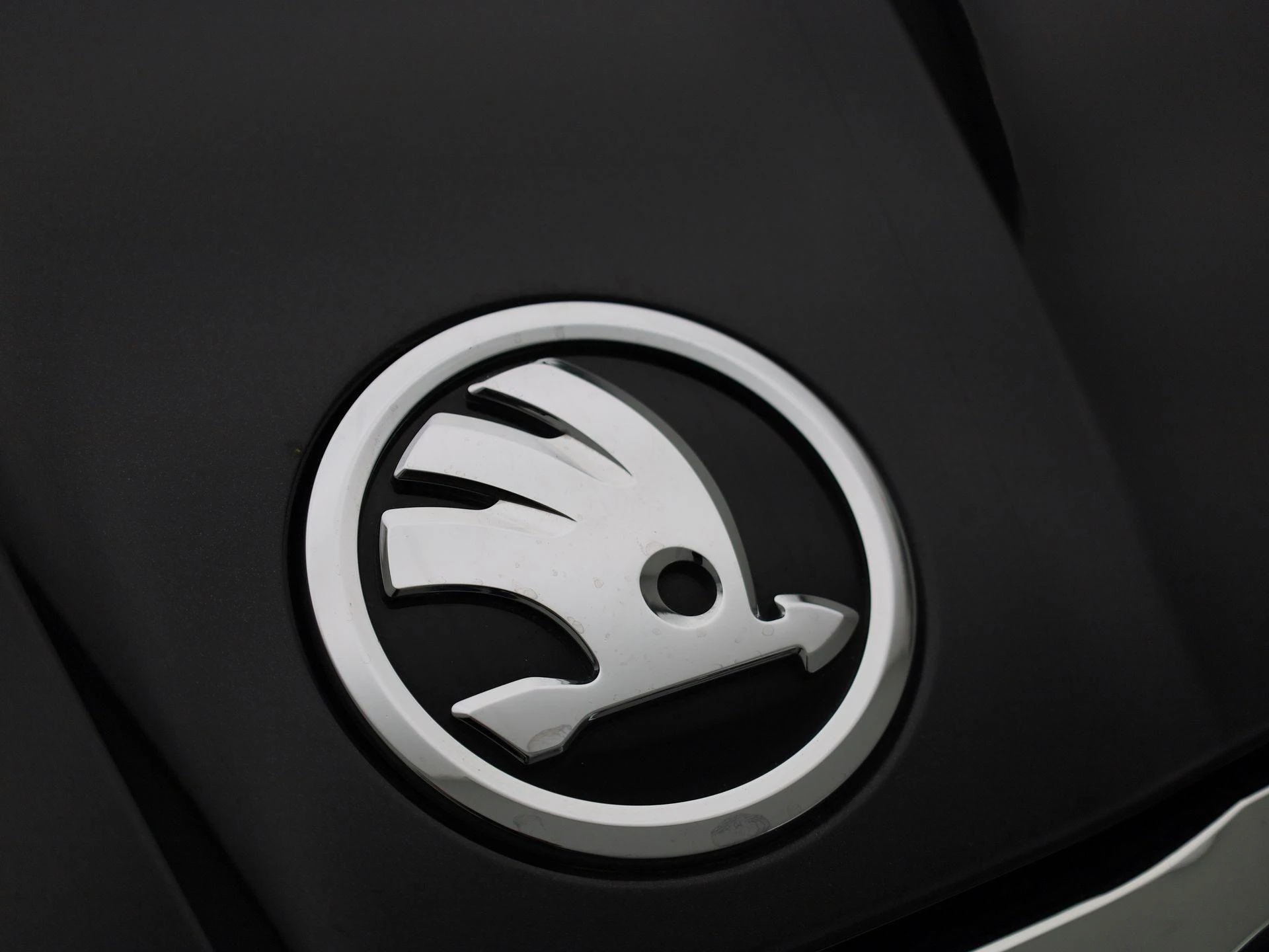Škoda-Enyaq iV-image-32