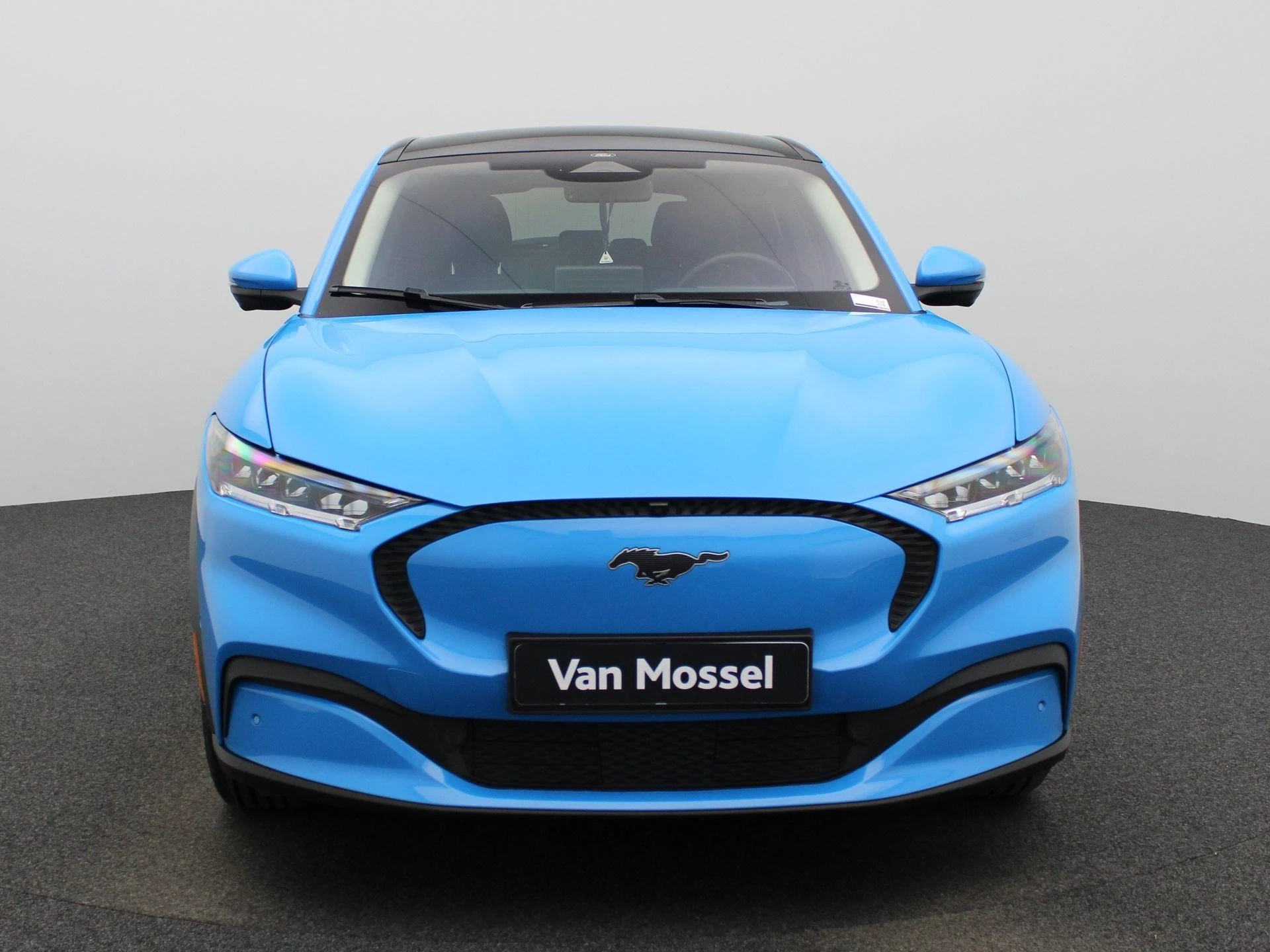 Ford-Mustang Mach-E-image-2