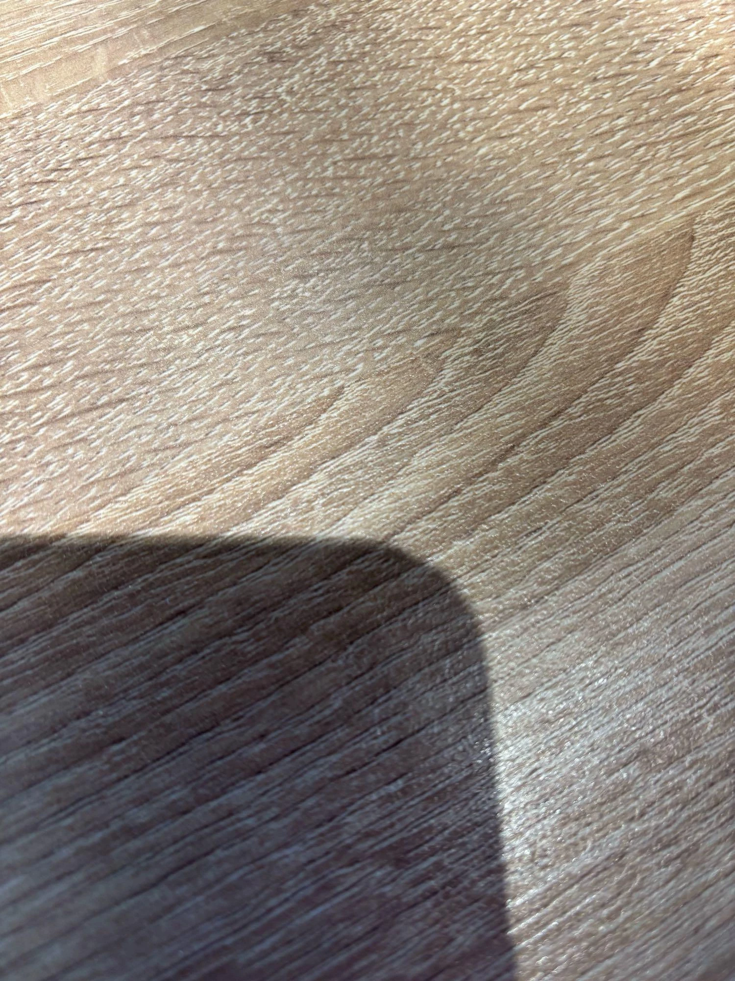 Volkswagen-Golf-image-14