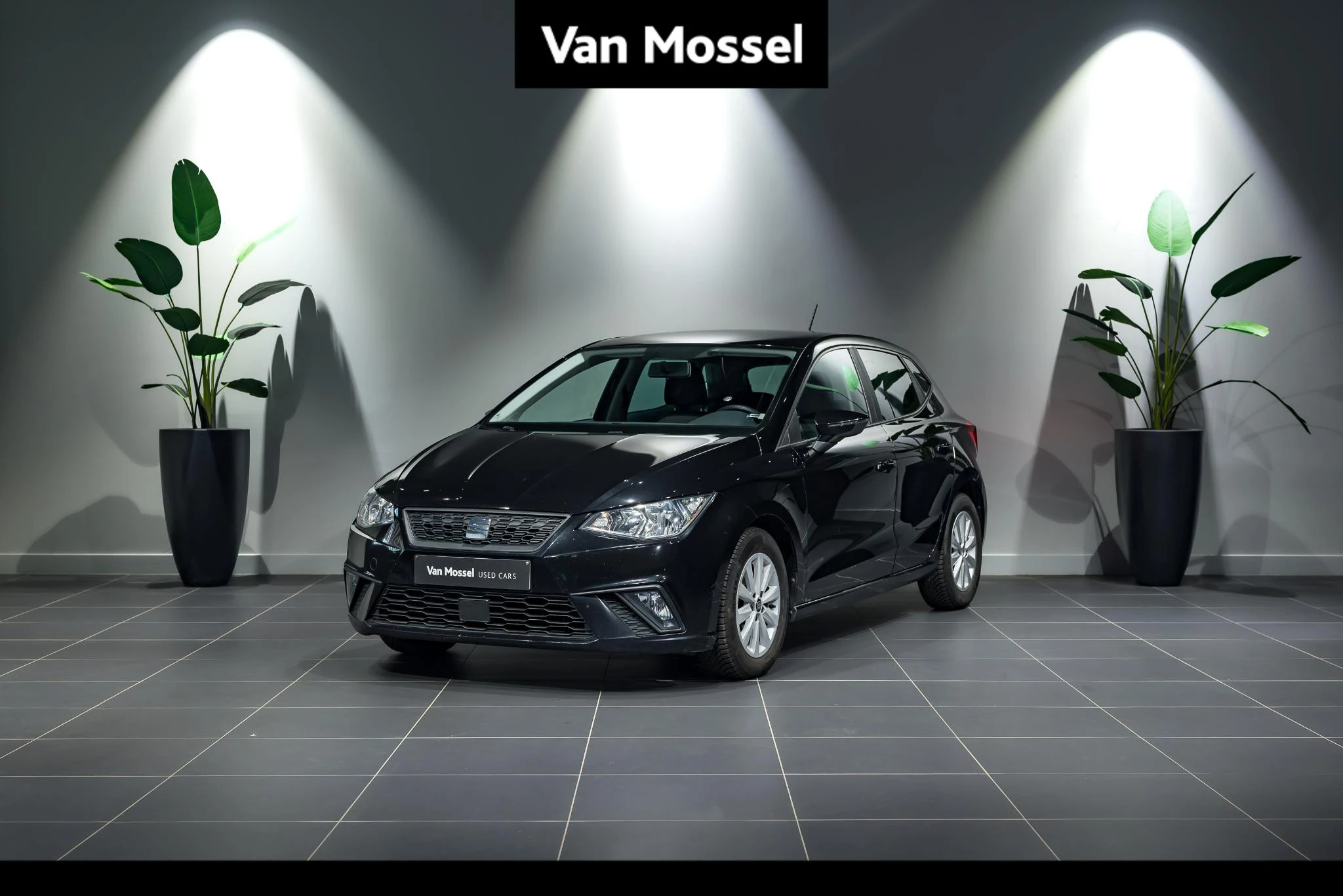 SEAT-Ibiza-image-0