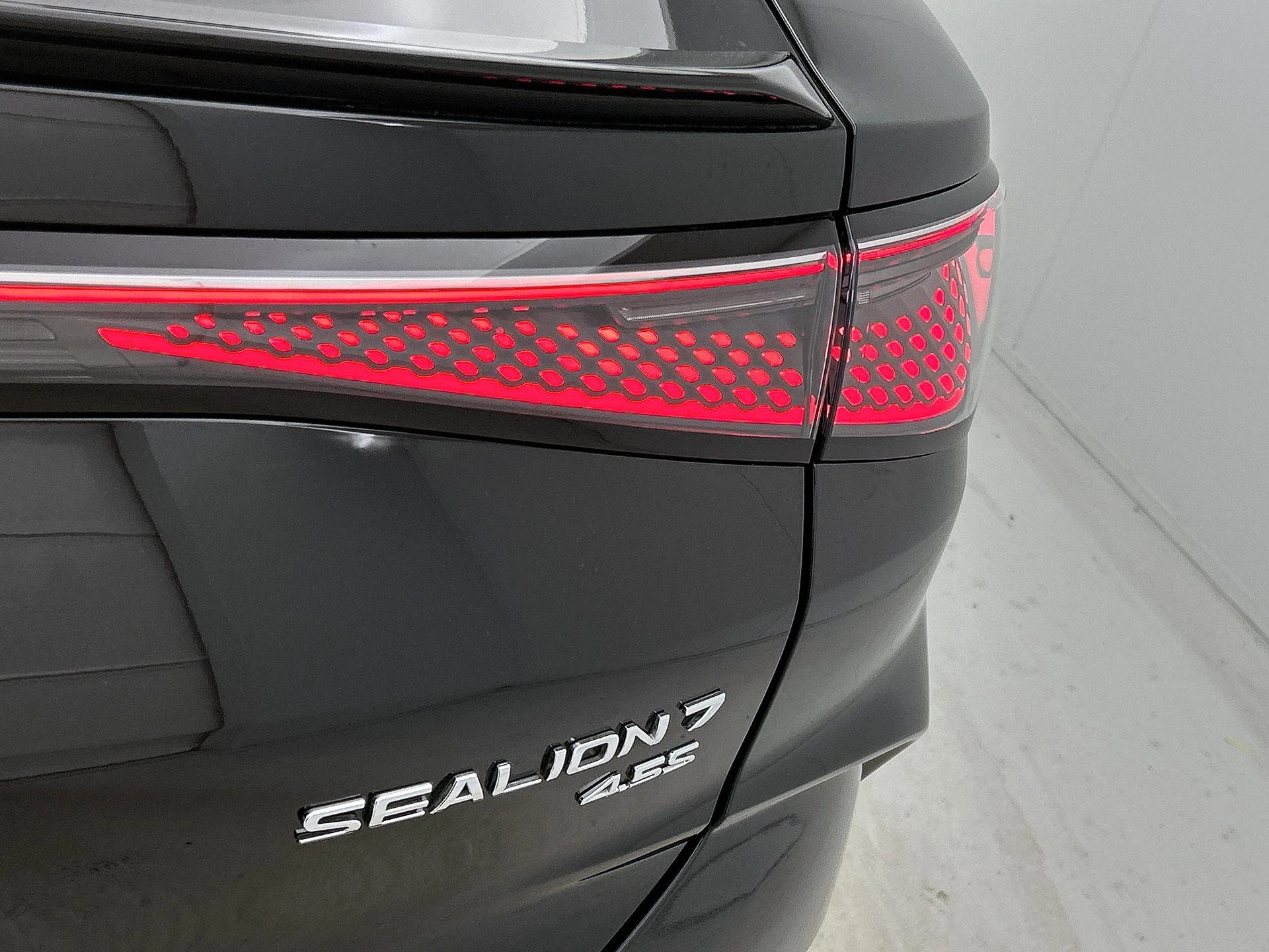 BYD-SEALION-image-20