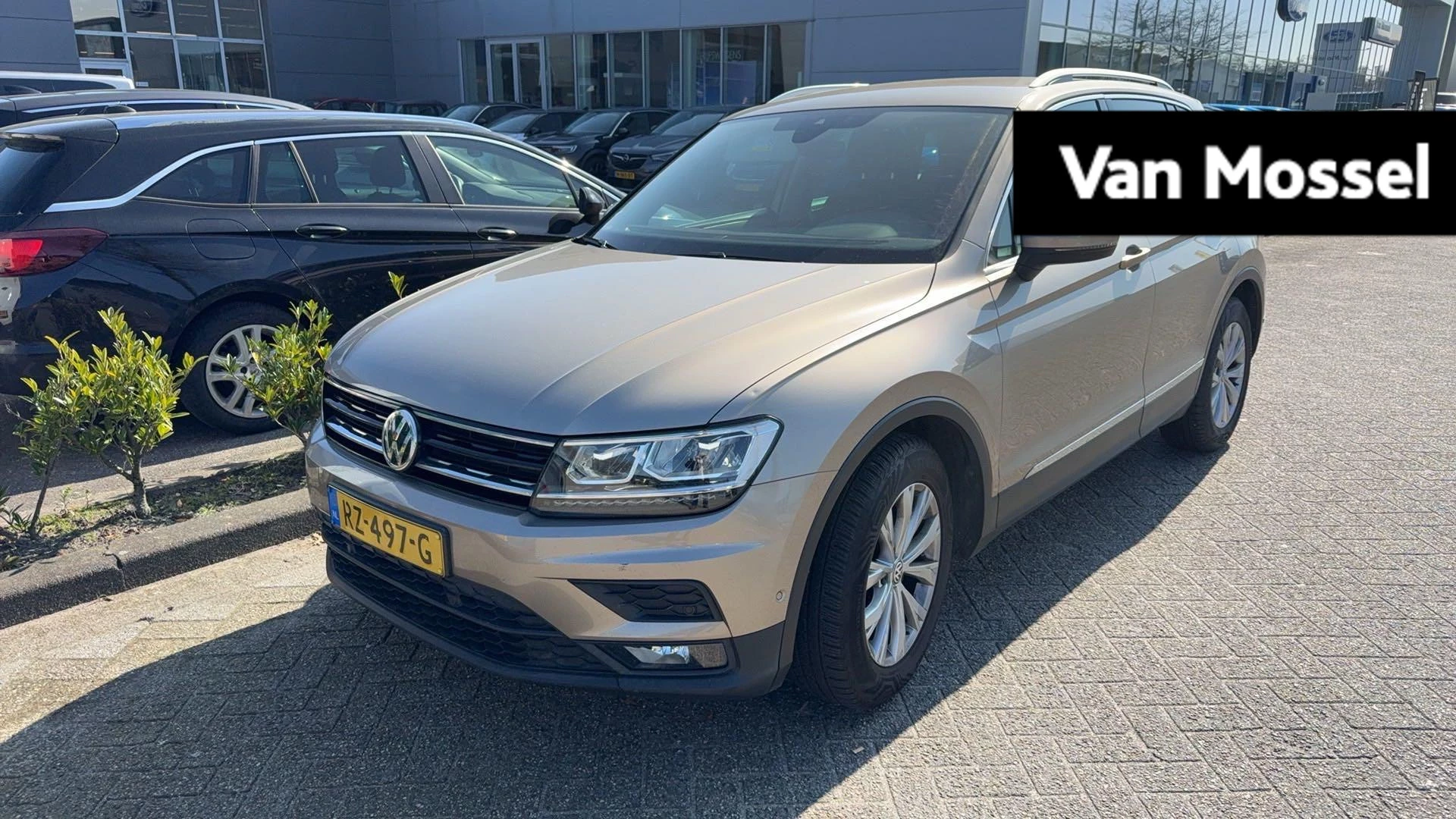 Volkswagen-Tiguan-image-0