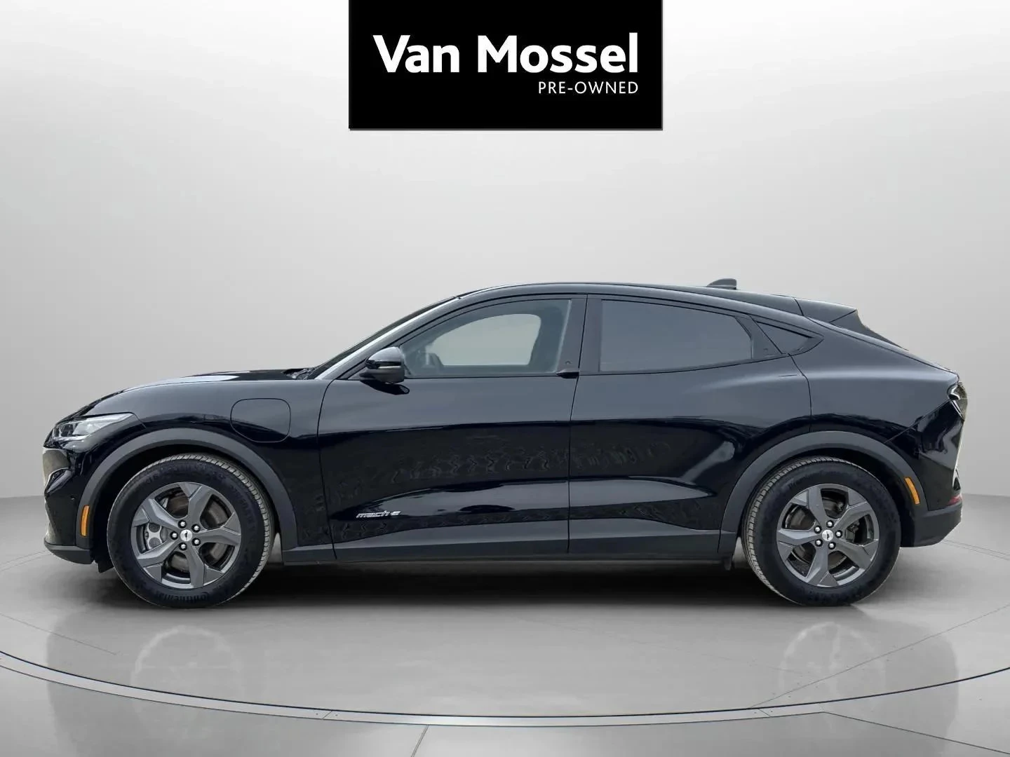 Ford-Mustang Mach-E-image-7