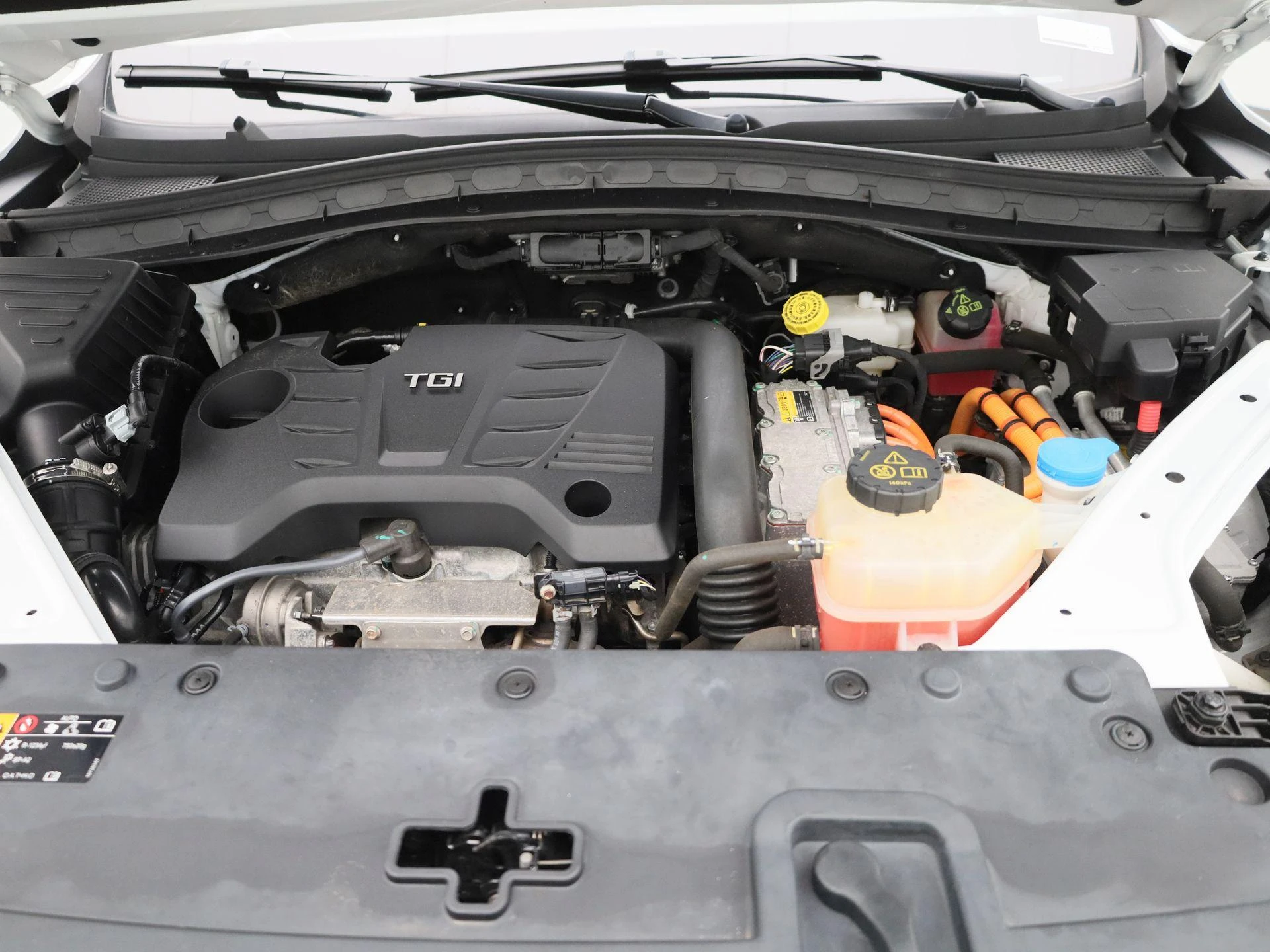 MG-EHS-image-30