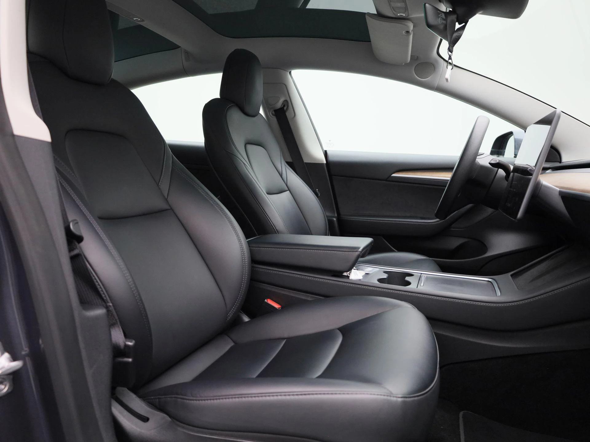 Tesla-Model 3-image-31