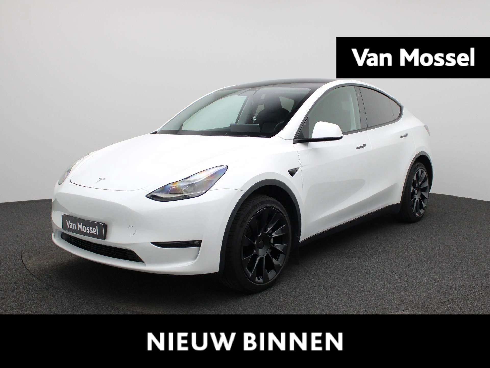Tesla-Model Y-image-0