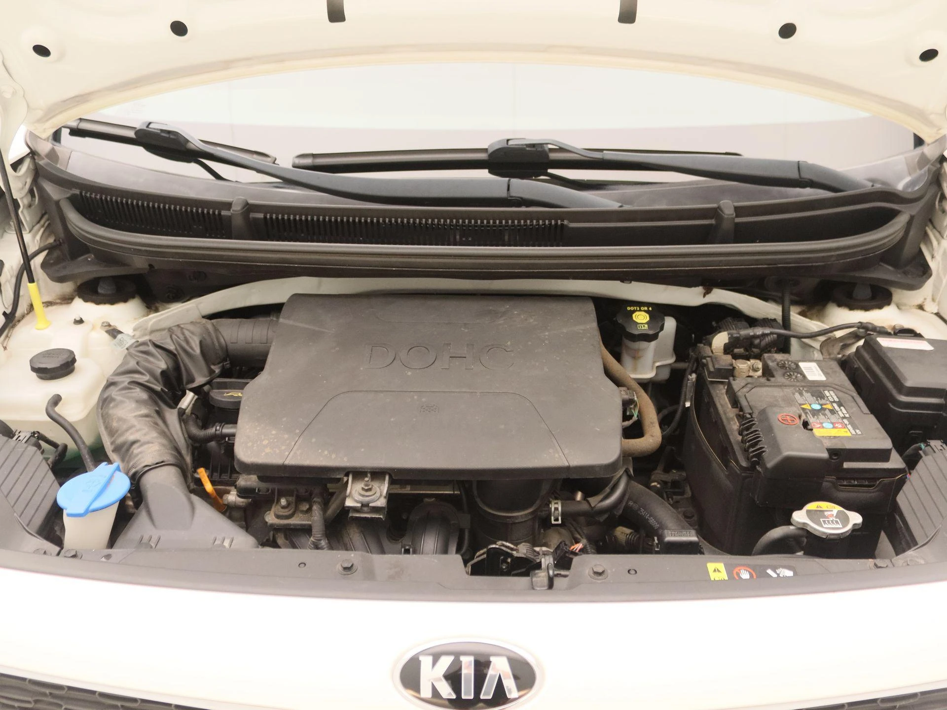 Kia-Picanto-image-24
