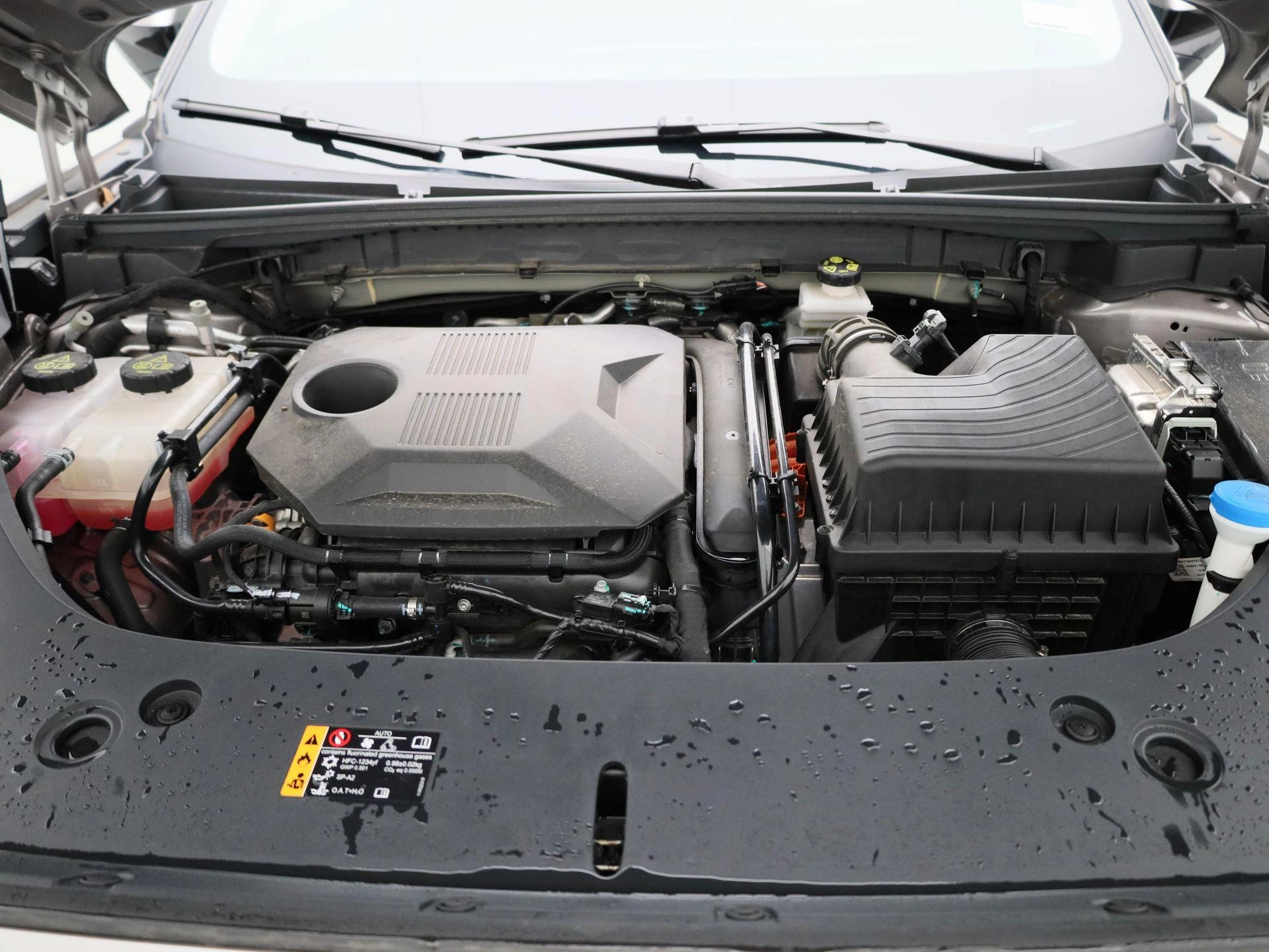 MG-HS-image-34