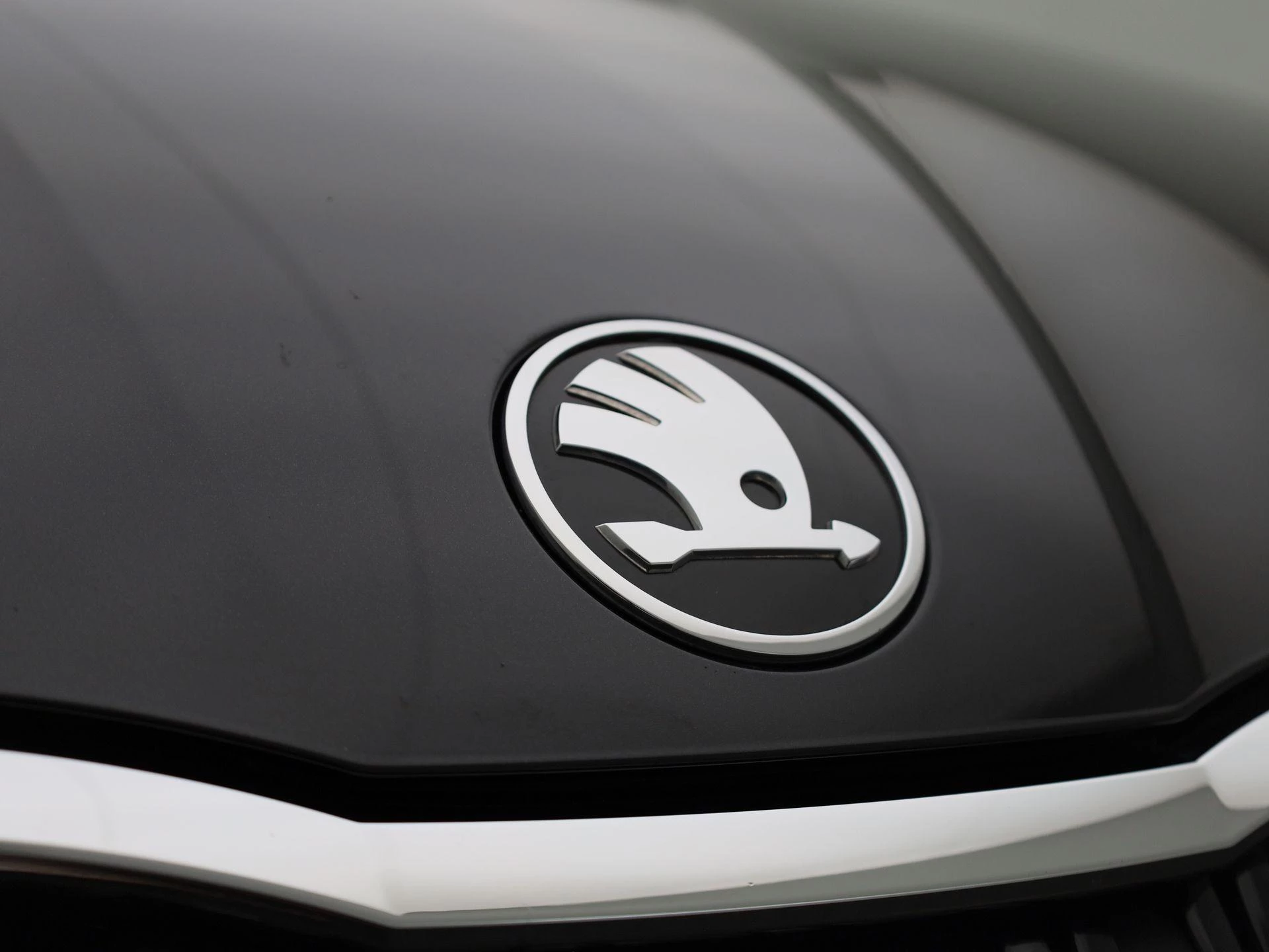 Škoda-Octavia-image-38