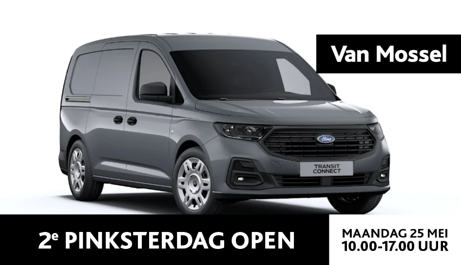 Ford-Transit Connect-image-0