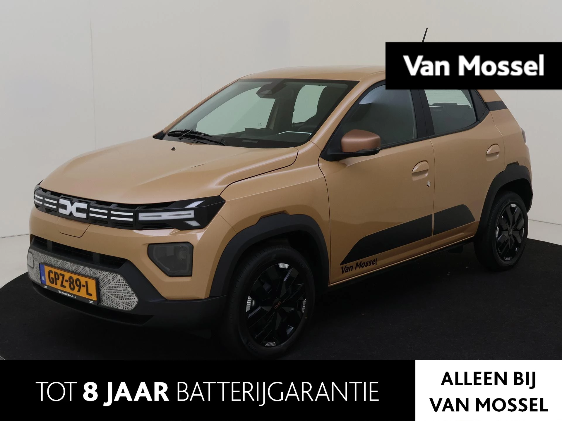 Dacia-Spring-image-0