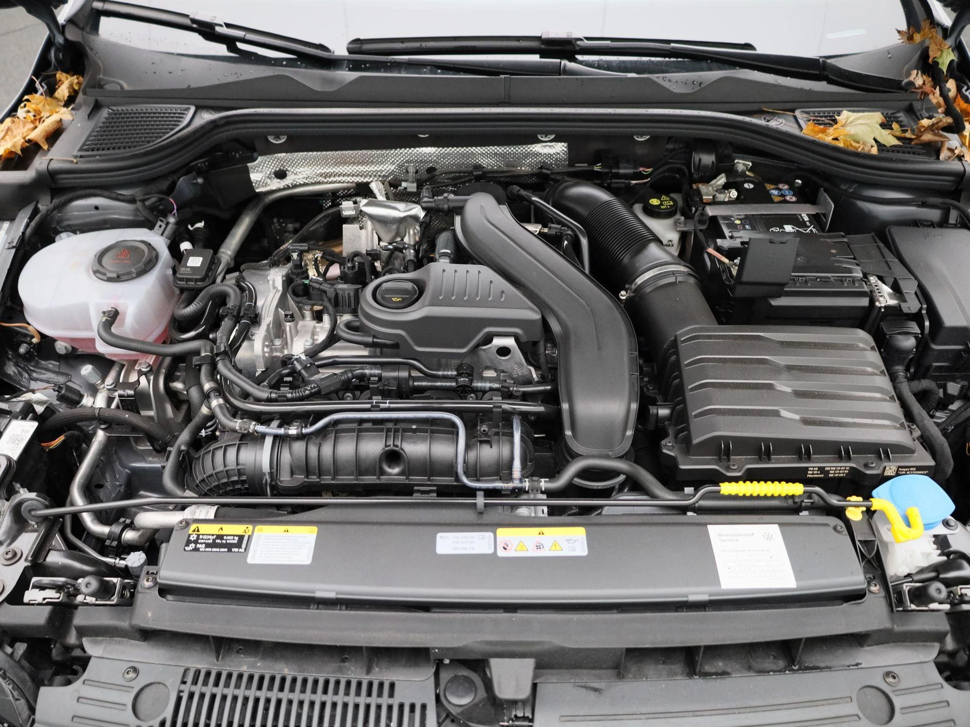 Volkswagen-Golf-image-42