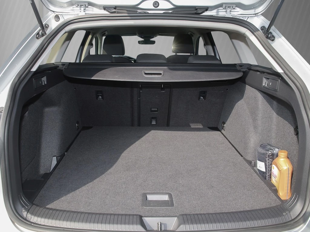 Volkswagen Golf Variant 2.0 TDI DSG Life Navi/RFK/LED