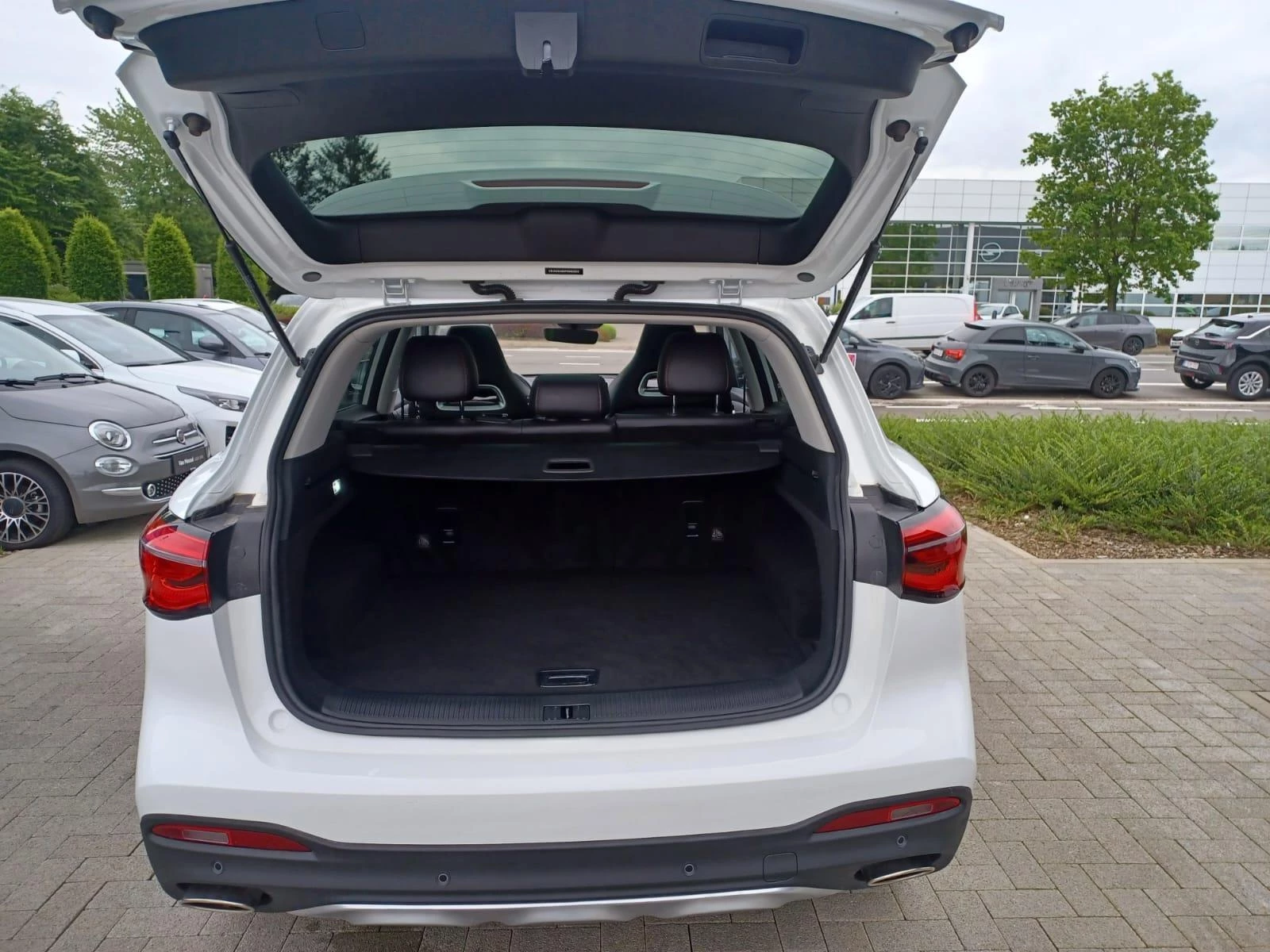 MG-EHS-image-6