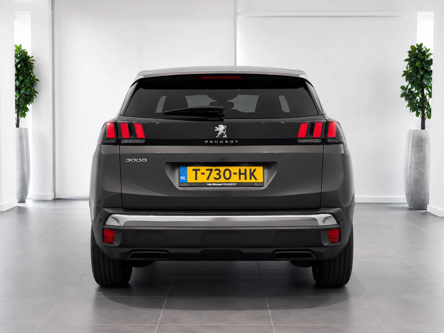 Peugeot-3008-image-3