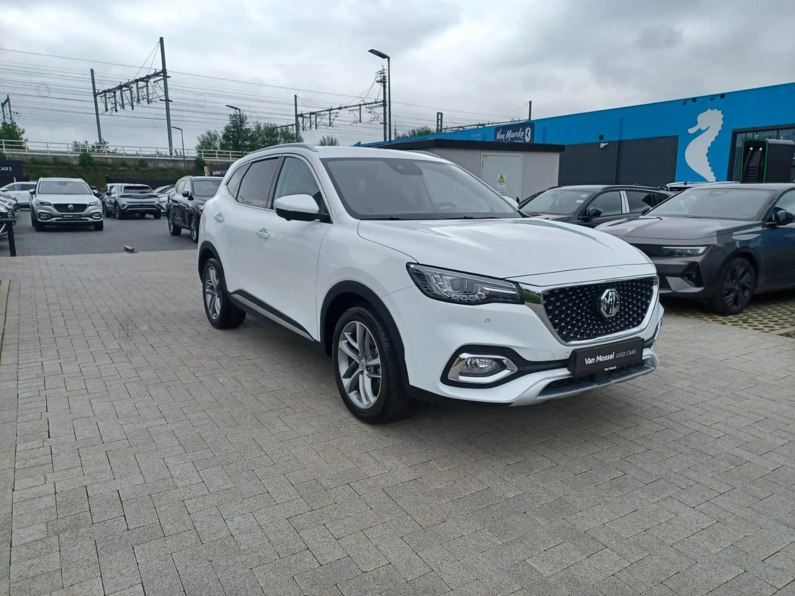 MG-EHS-image-2