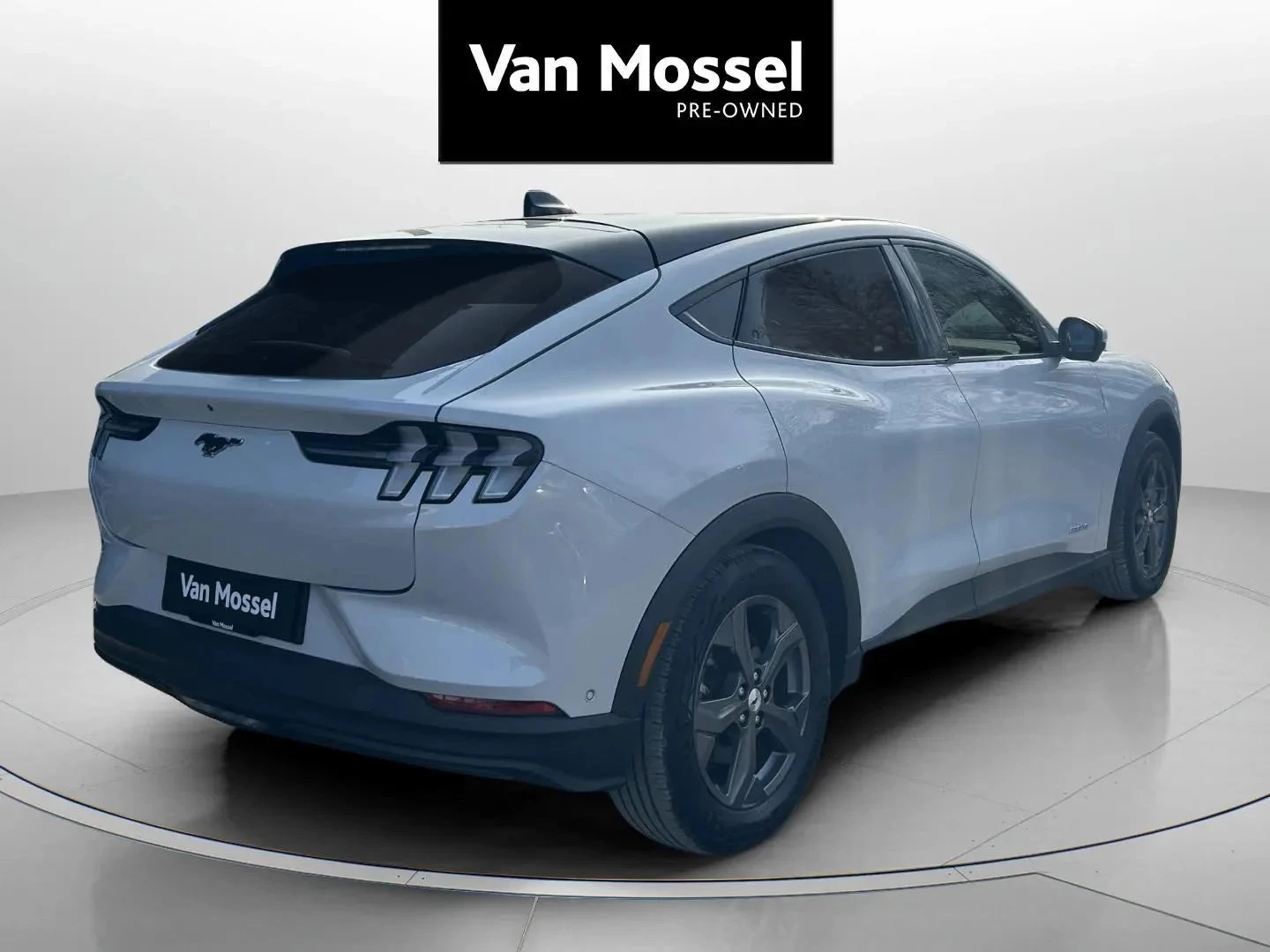 Ford-Mustang Mach-E-image-4