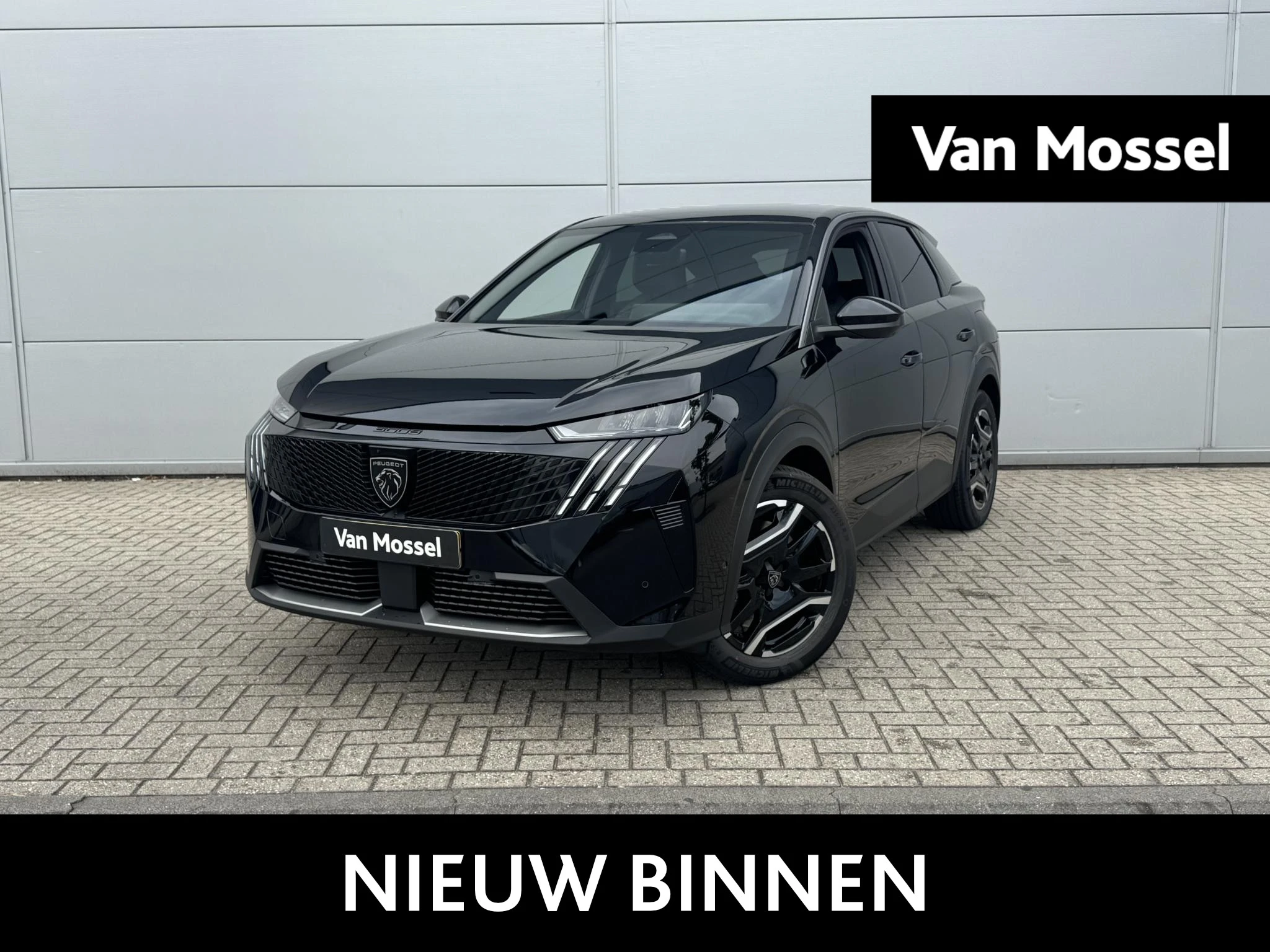 Peugeot-3008-image-0