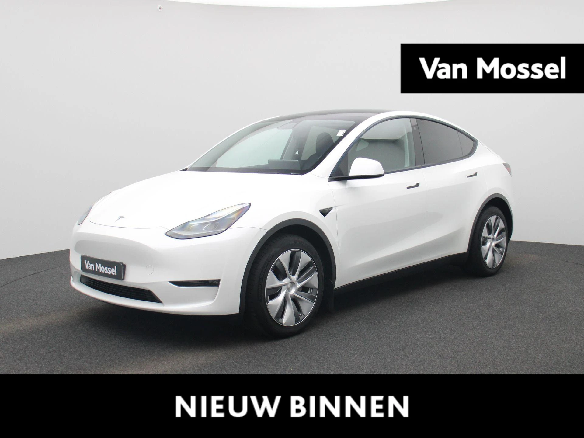Tesla-Model Y-image-0