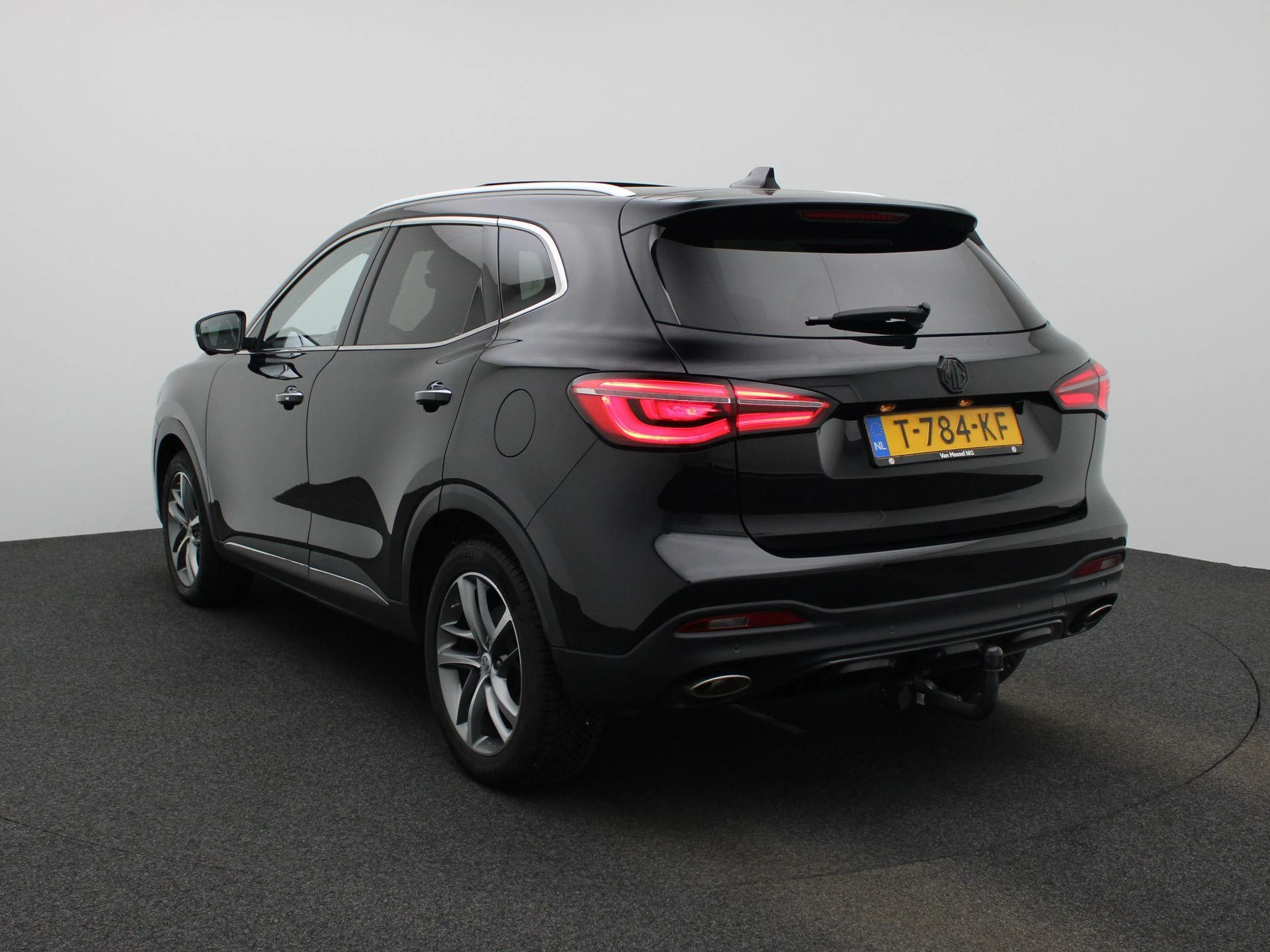 MG-EHS-image-1