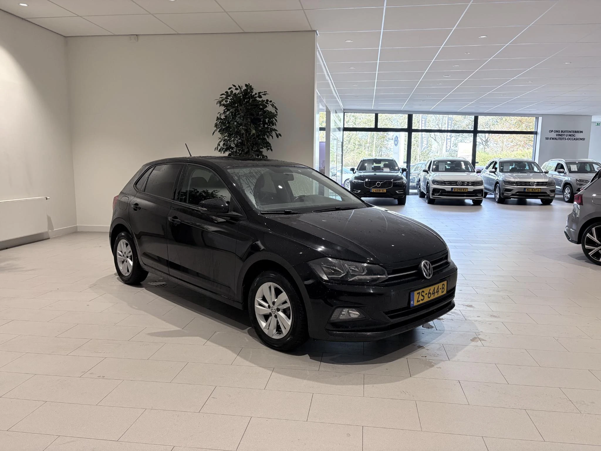 Volkswagen-Polo-image-5