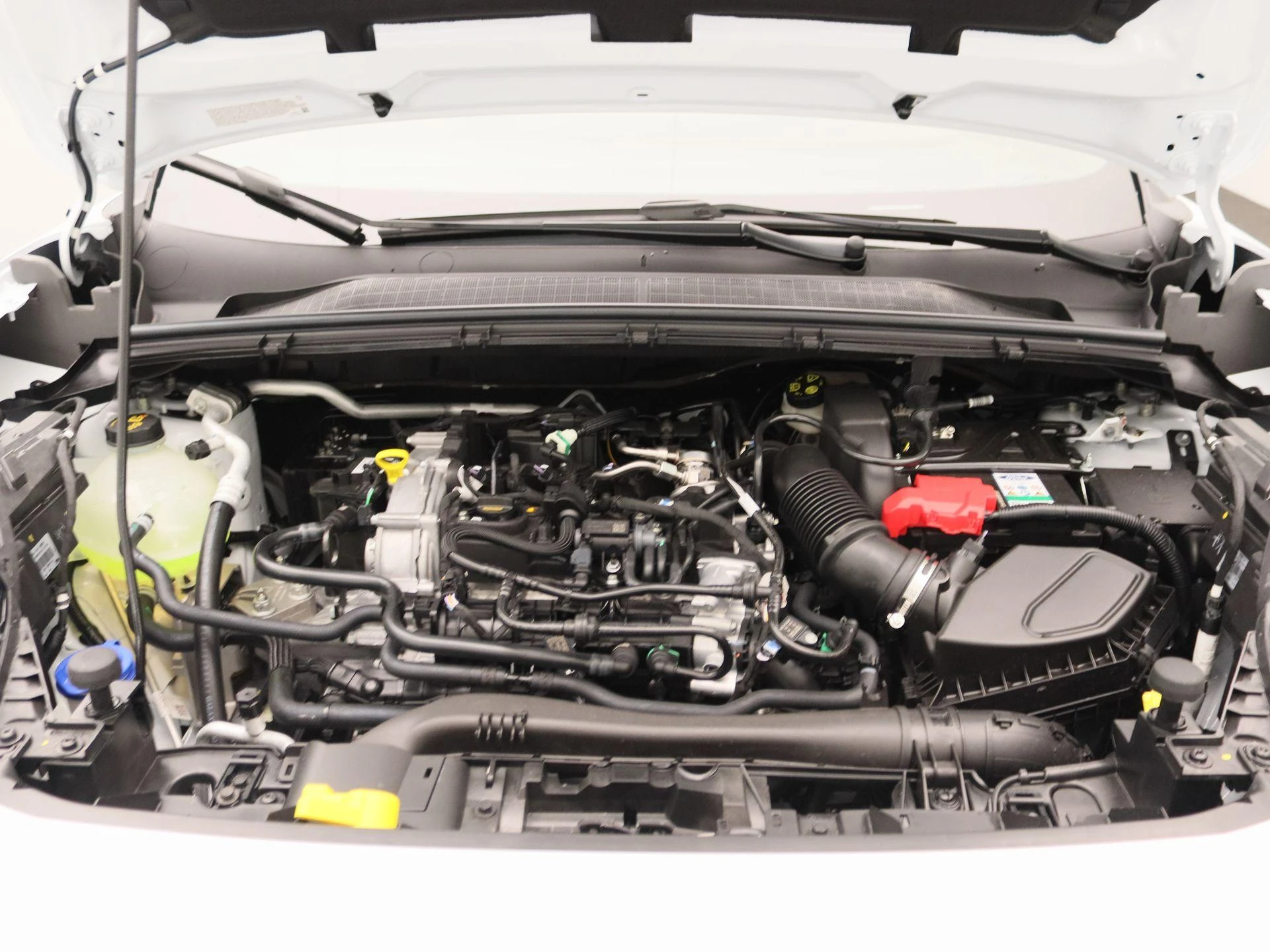 Ford-Puma-image-25