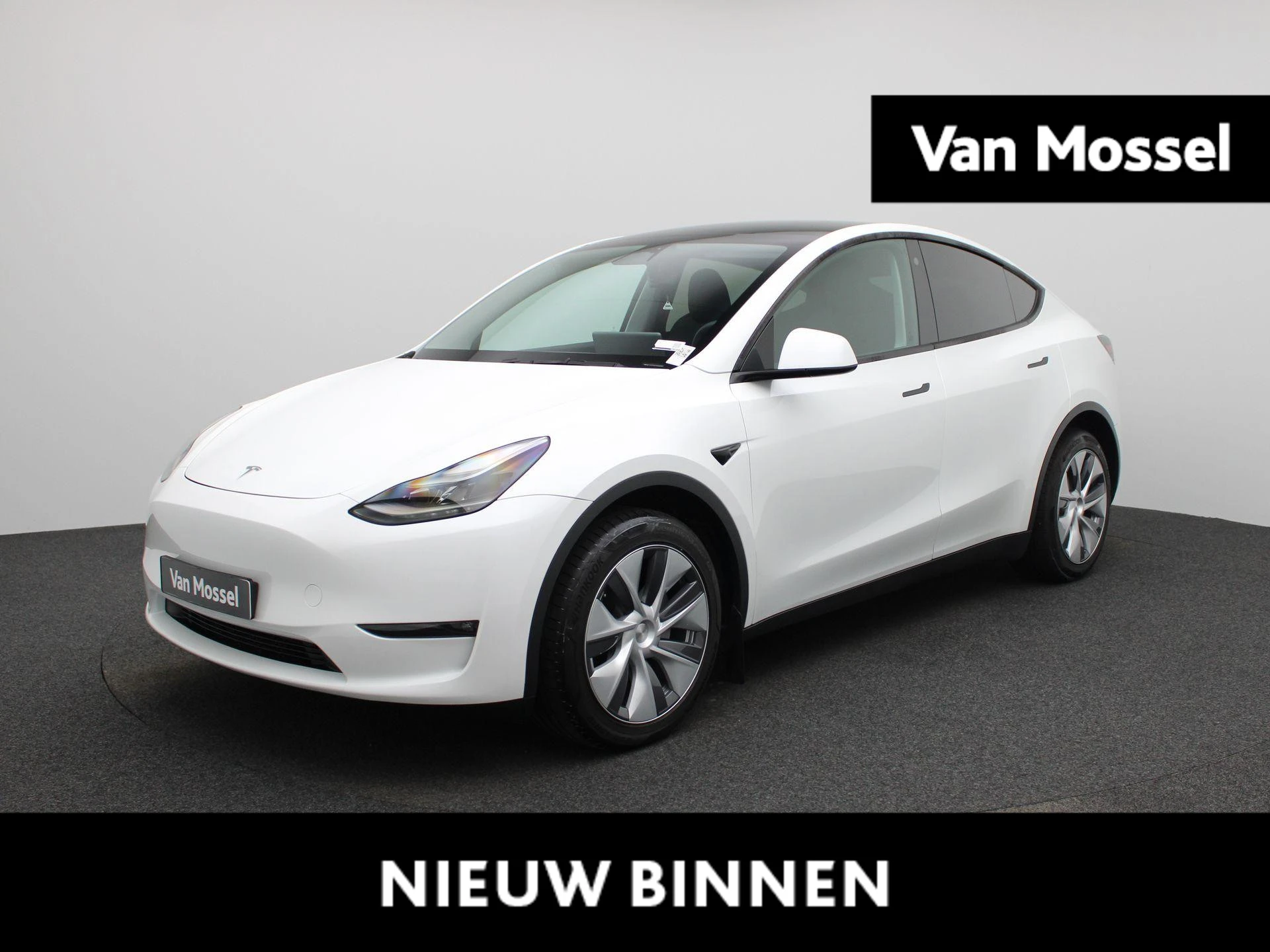 Tesla-Model Y-image-0