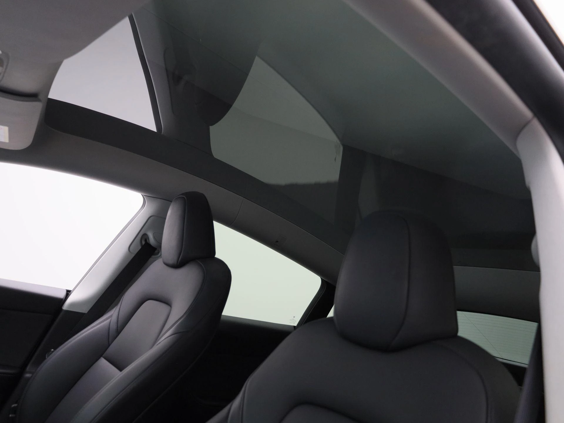 Tesla-Model Y-image-24