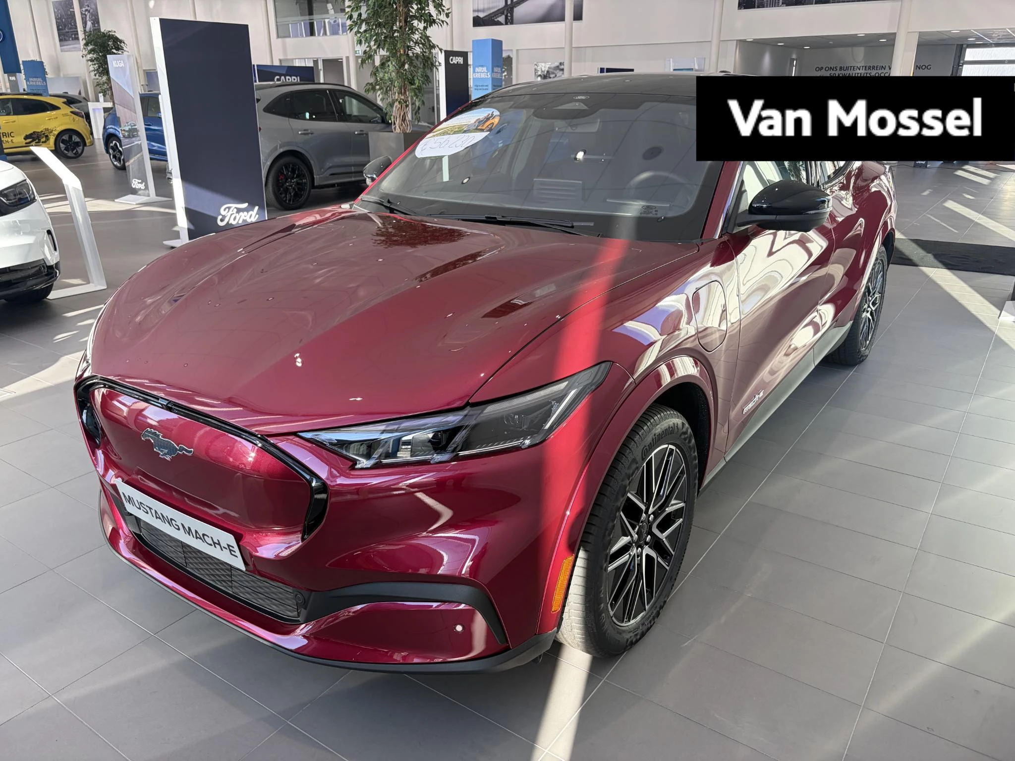 Ford-Mustang Mach-E-image-0