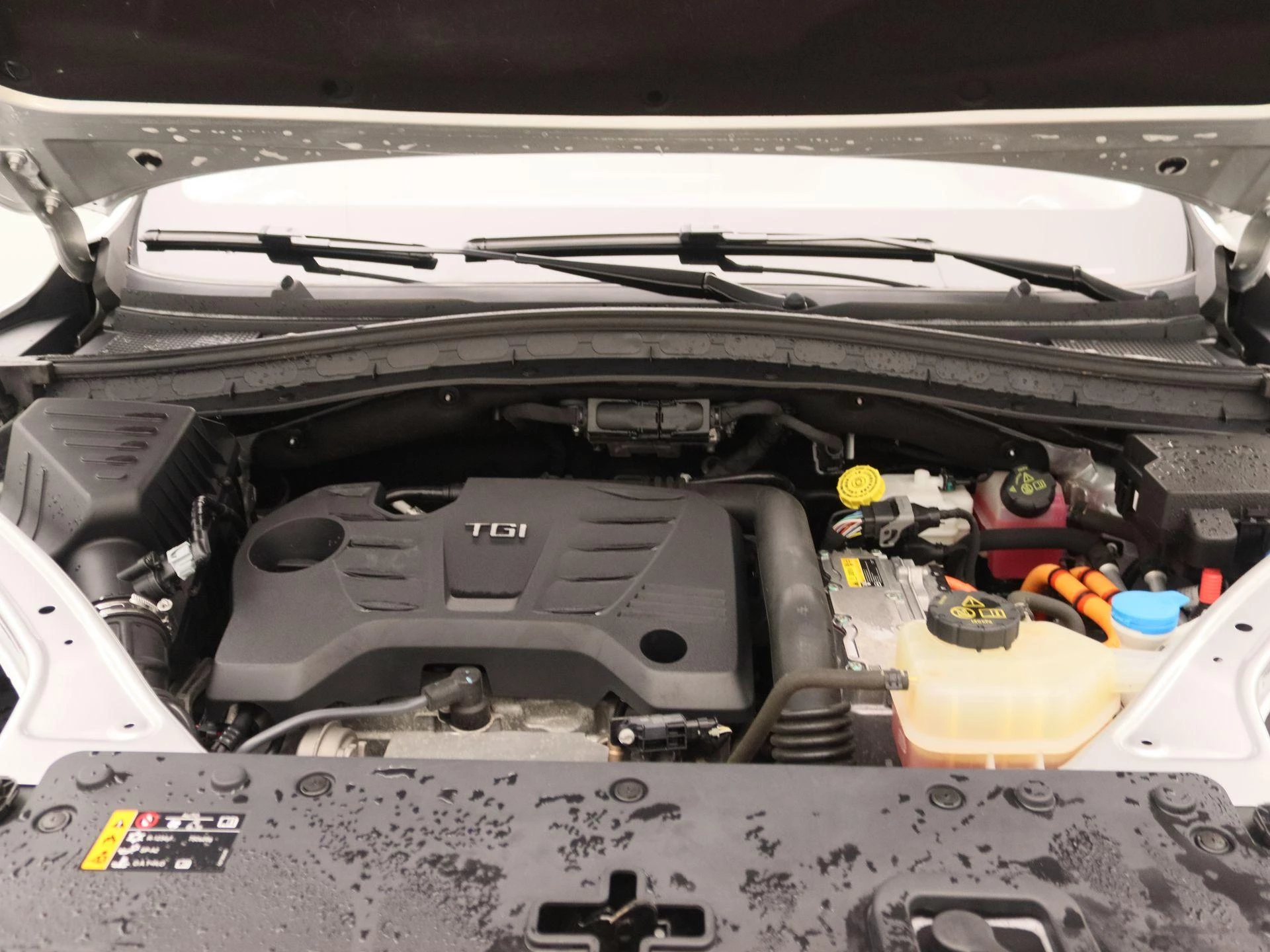 MG-EHS-image-26