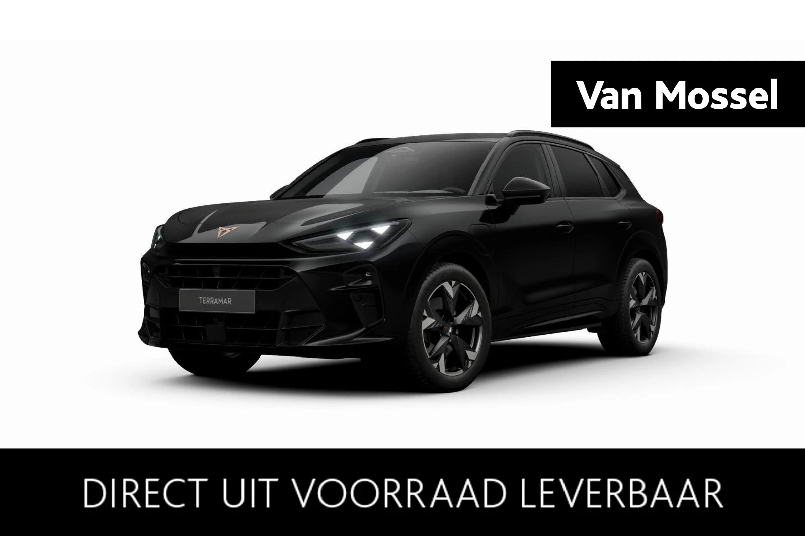 CUPRA-Terramar-image-0