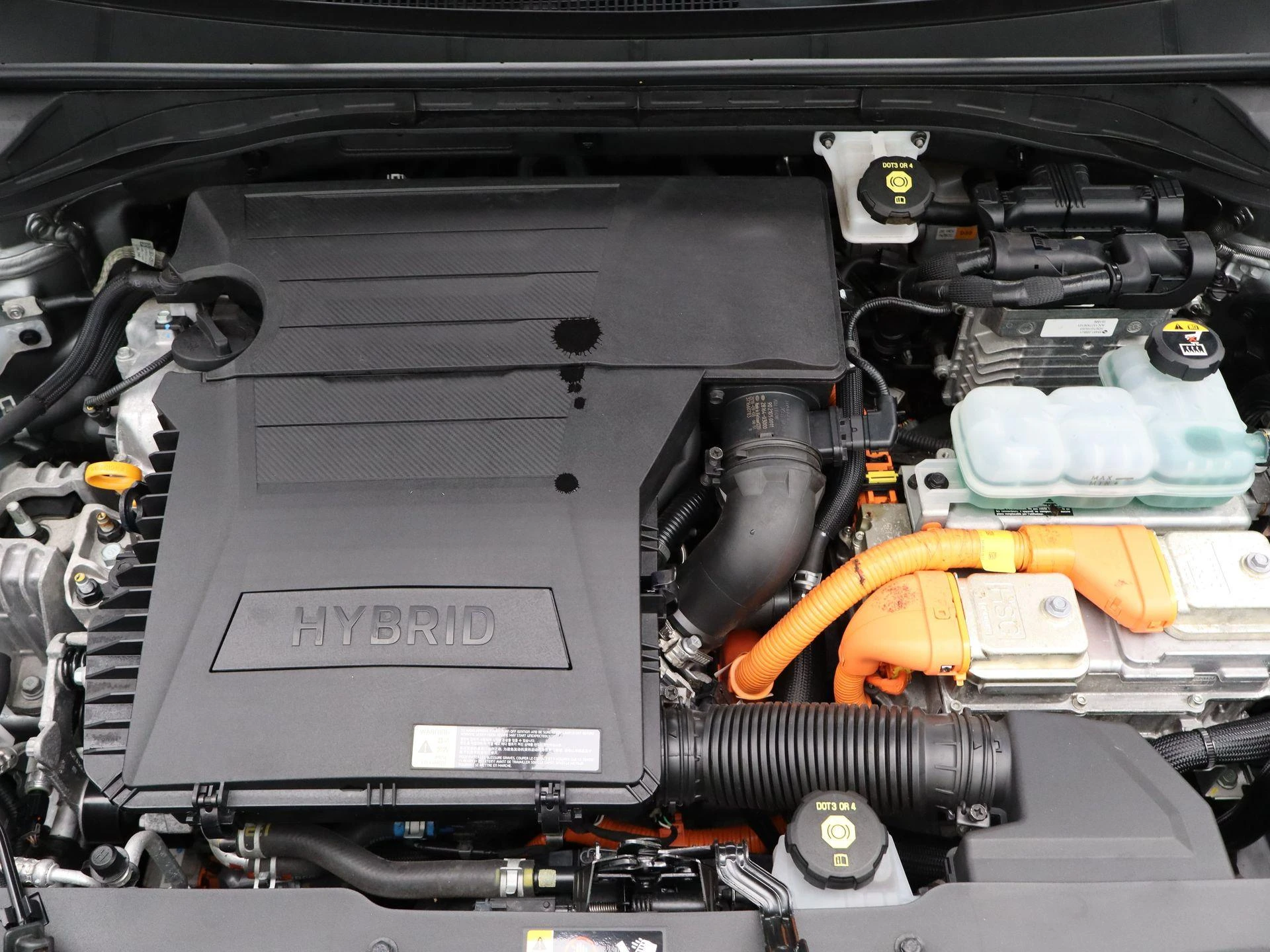 Kia-Niro-image-33