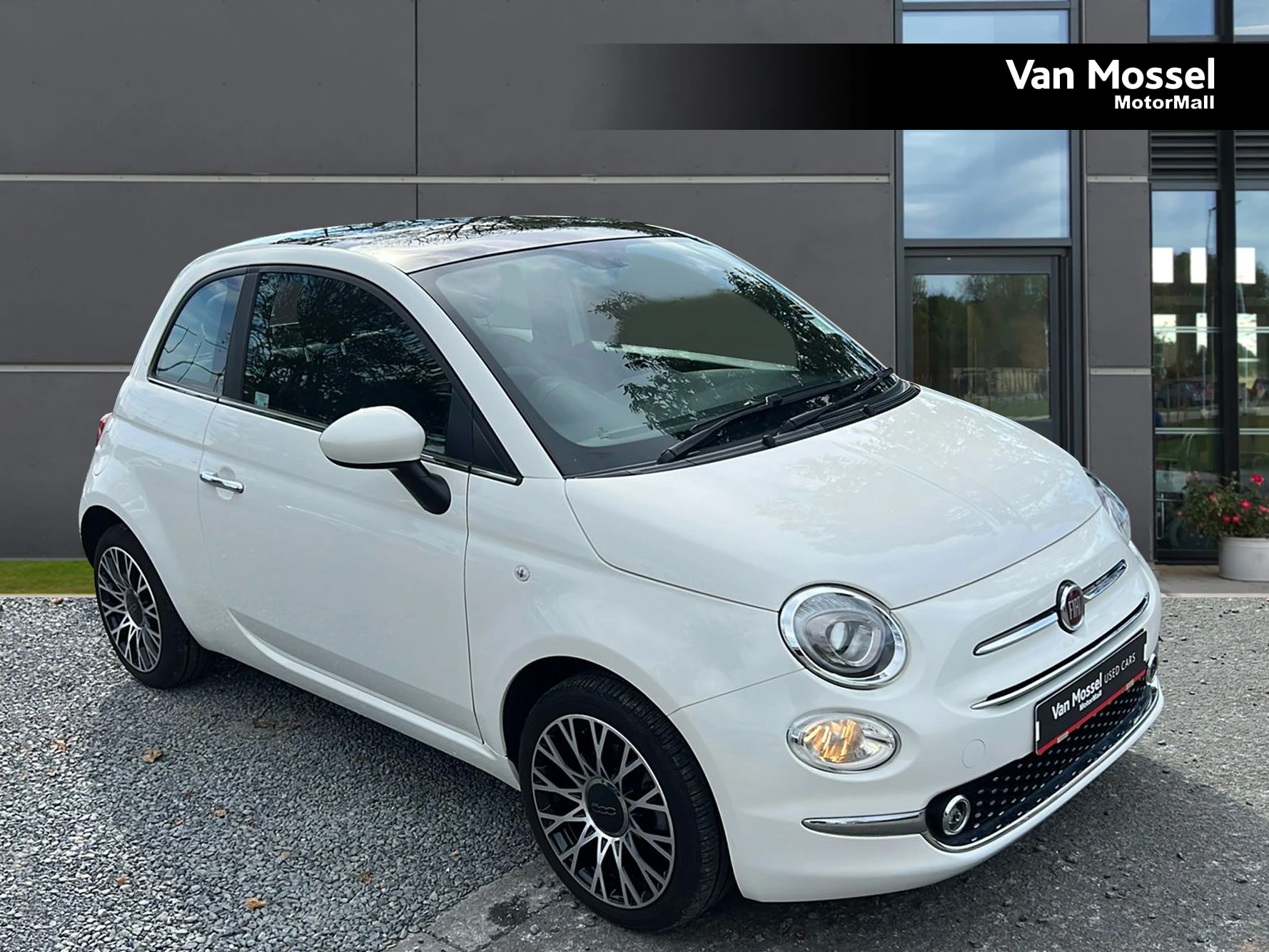 Fiat 500 Used Car