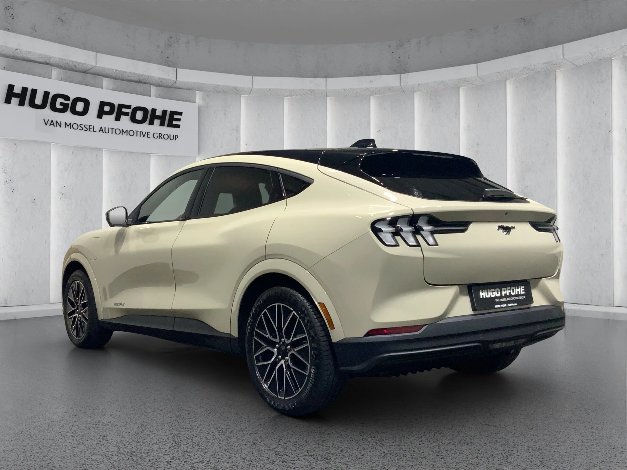 Ford-Mustang Mach-E-image-2