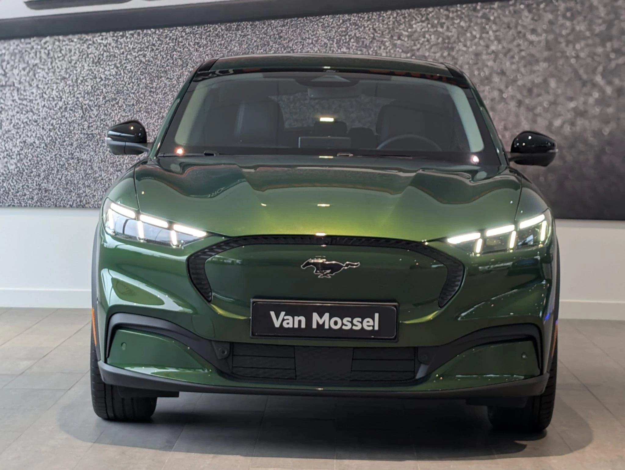 Ford-Mustang Mach-E-image-7