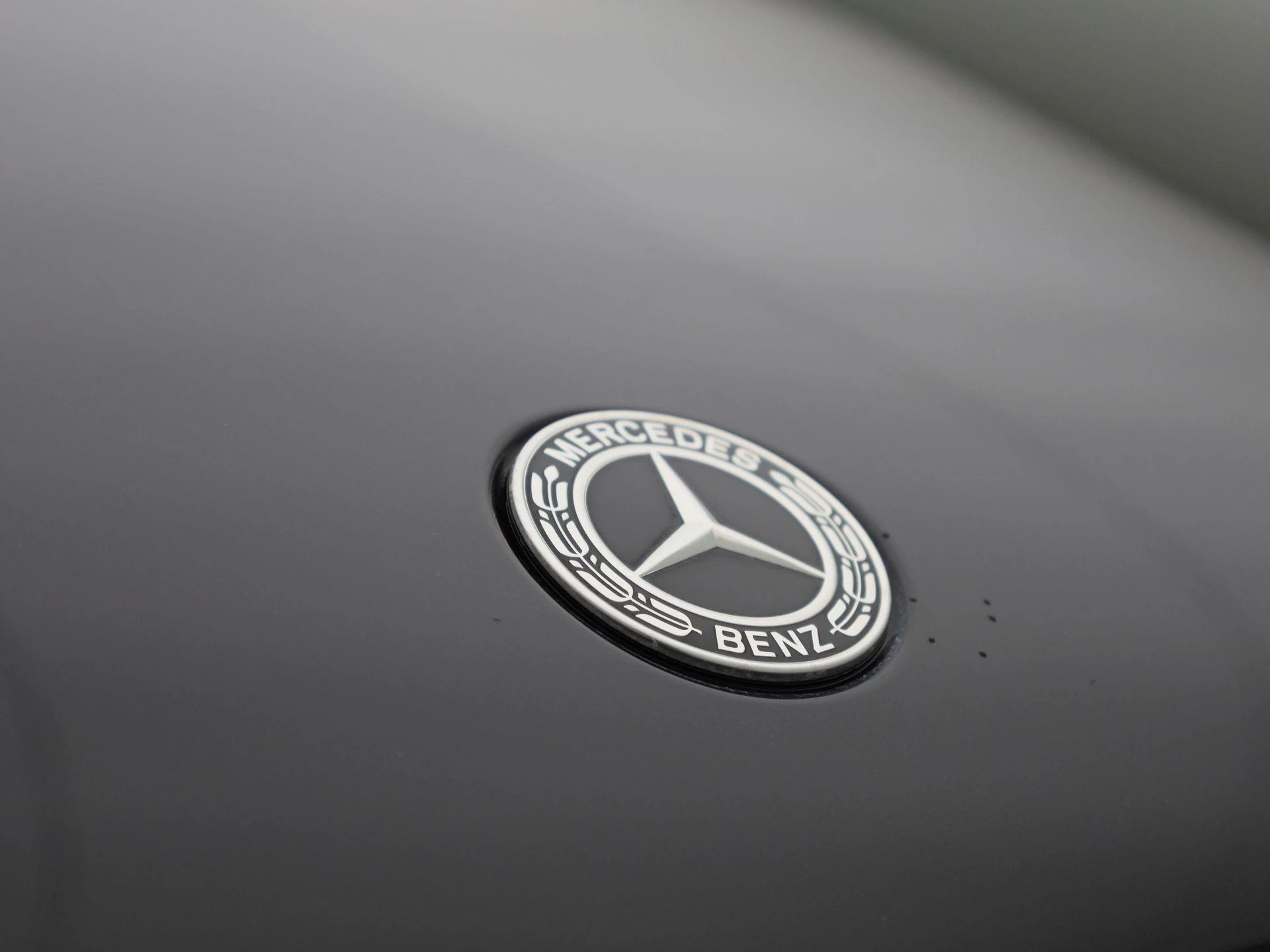Mercedes-Benz-EQC-image-45