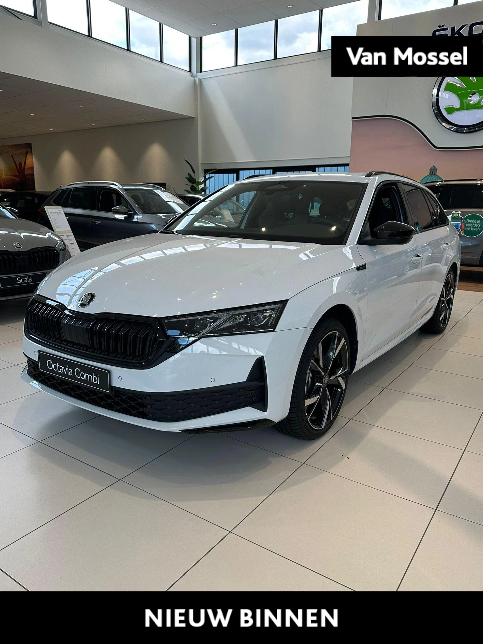 Škoda-Octavia-image-0