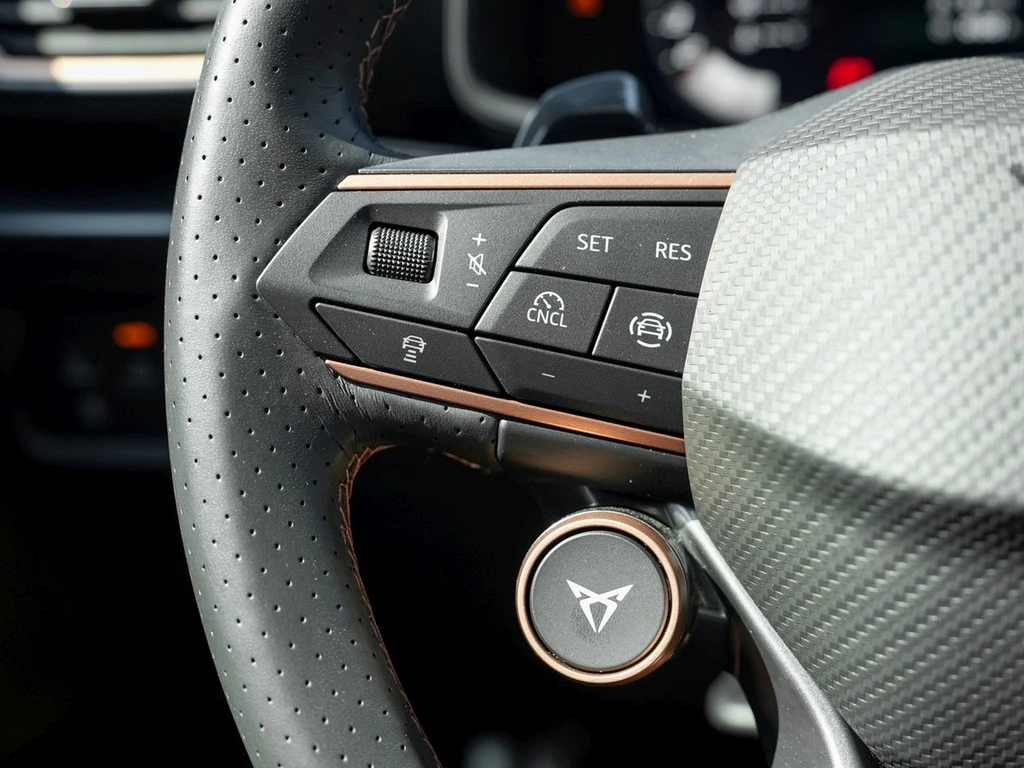 CUPRA Formentor 2.0 TSI DSG VZ Black Edition Akrapovic